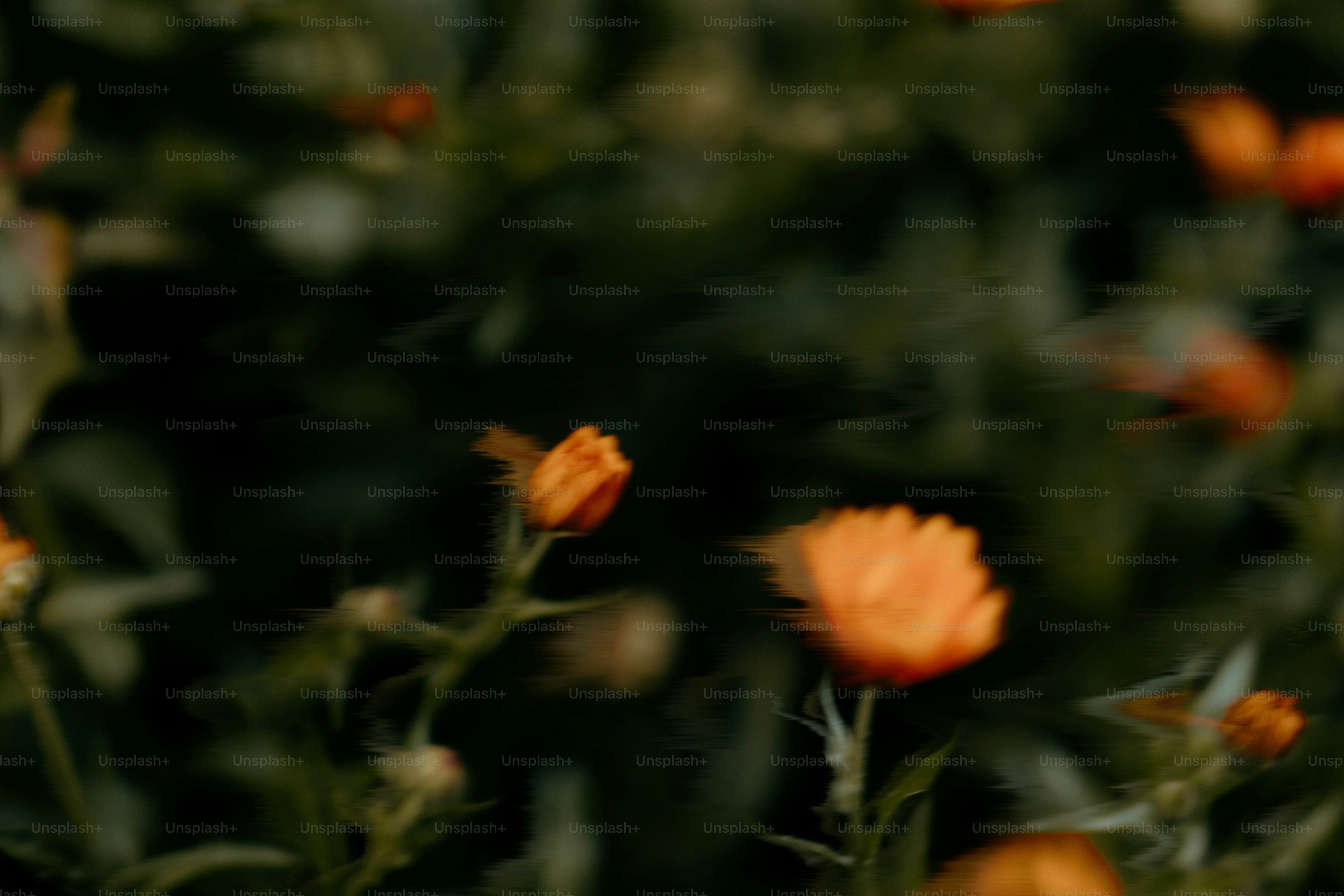 Orange flowers bloom among green leaves.