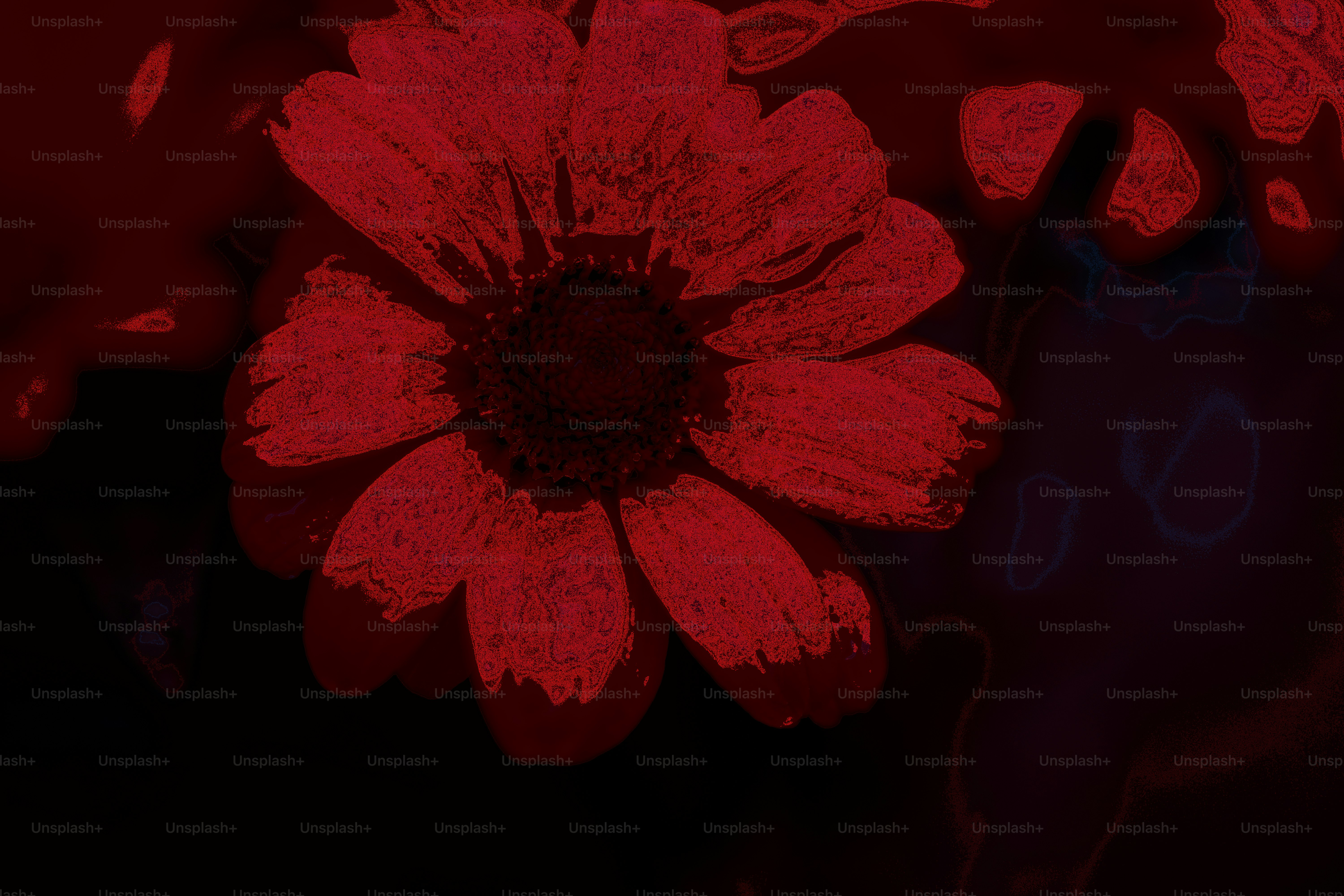 Red flower with a dark background.