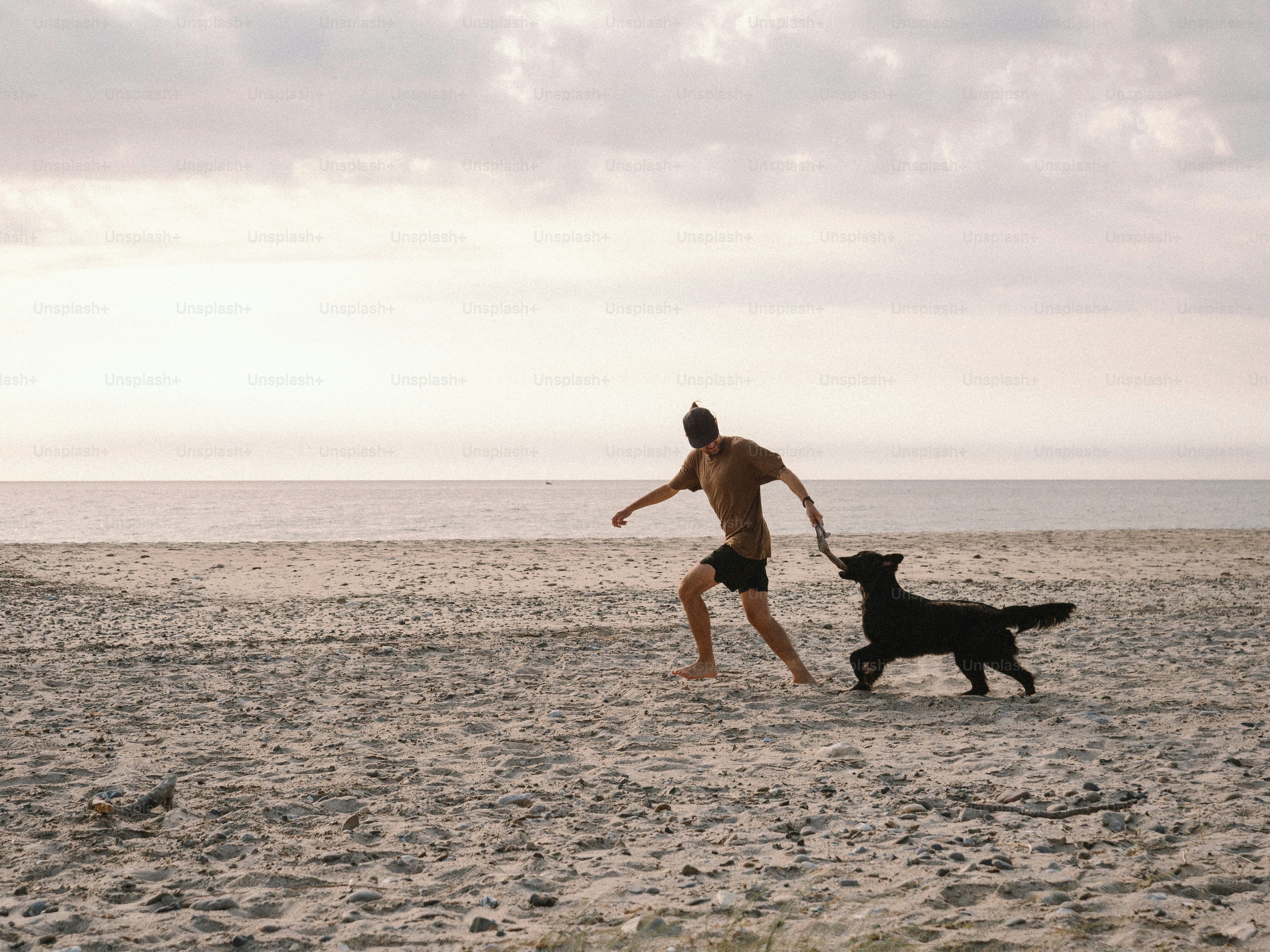 A man runs with his dog on the beach