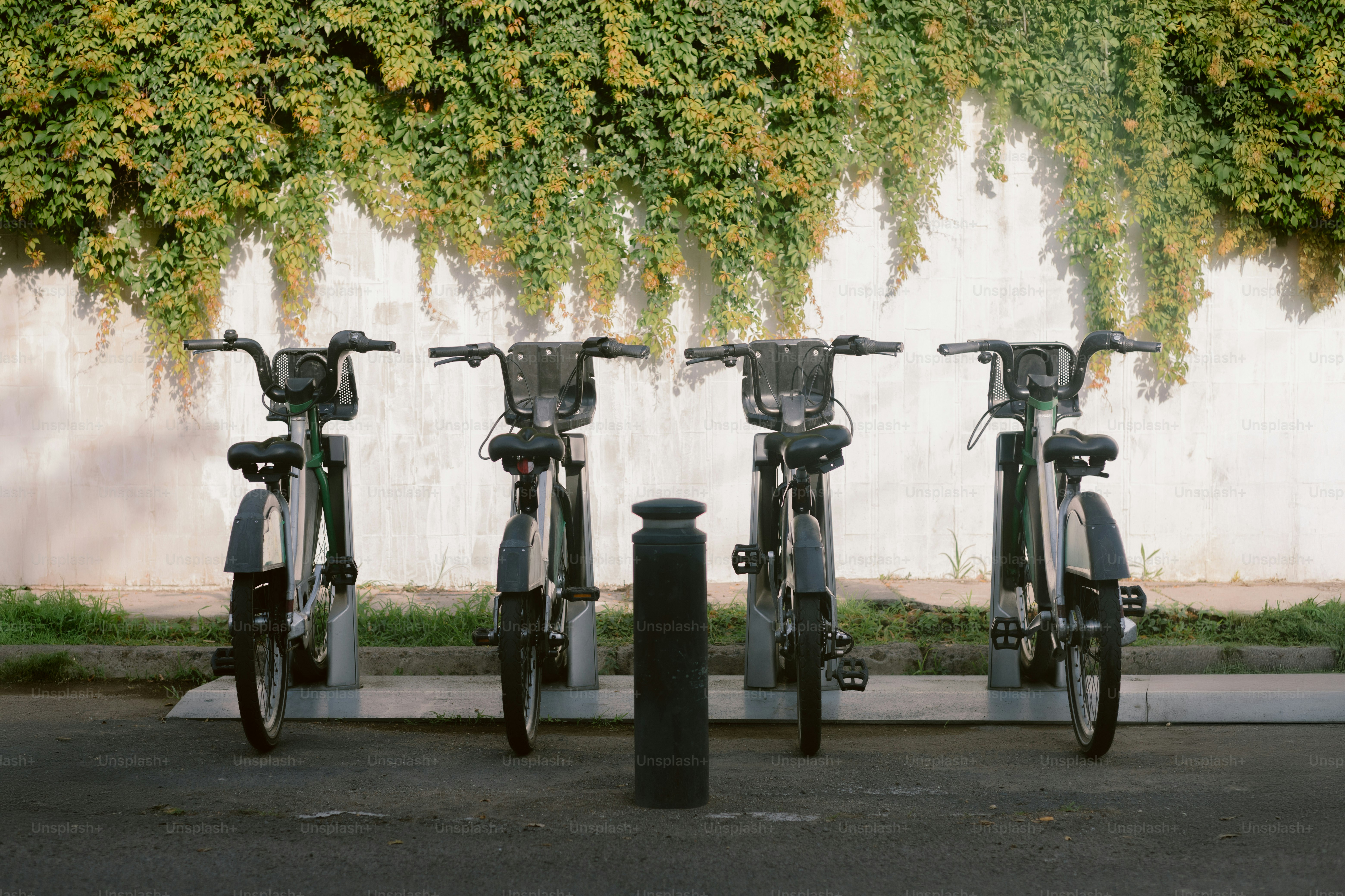 Bikes are parked near a wall covered with greenery.