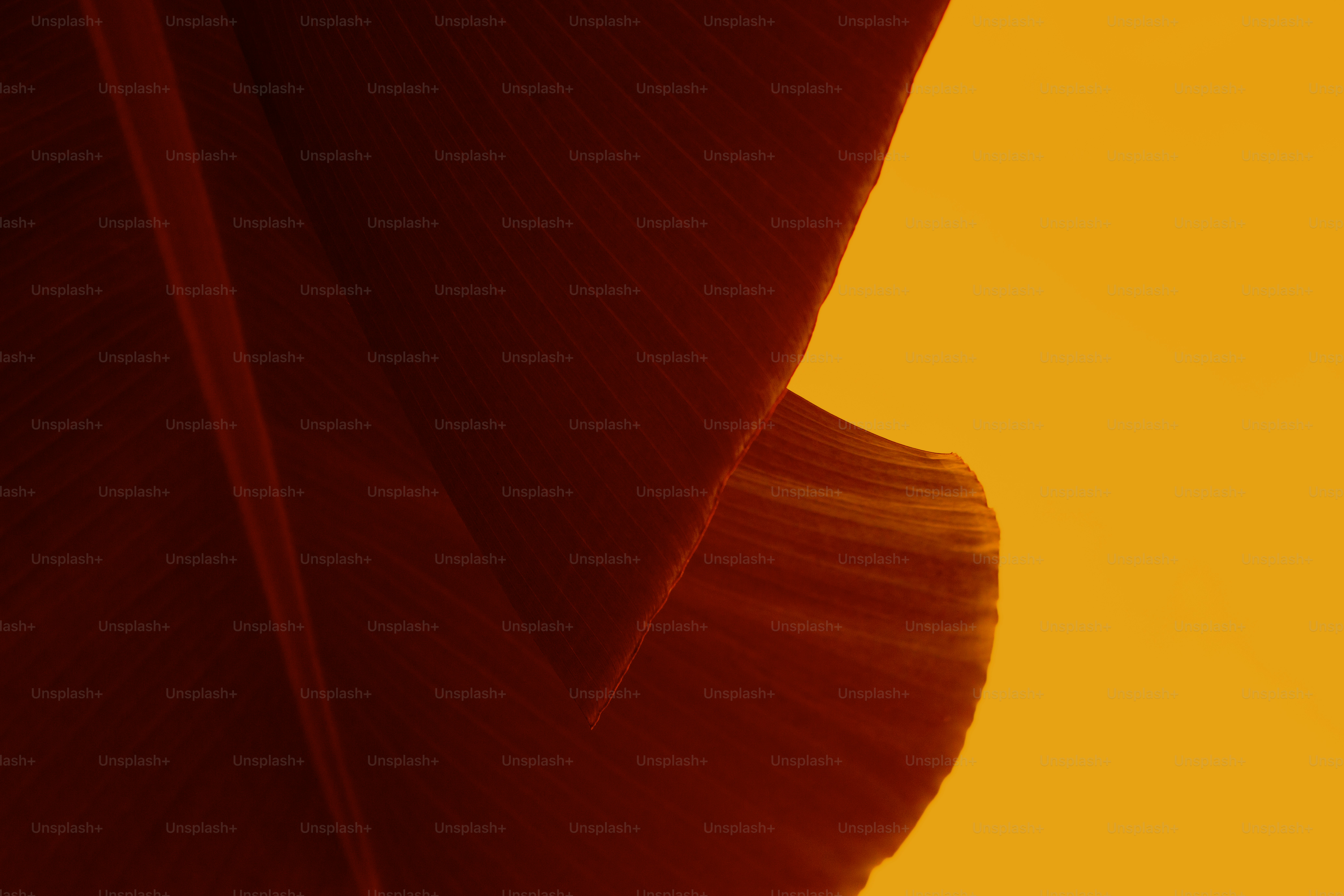 Privacy document illustration