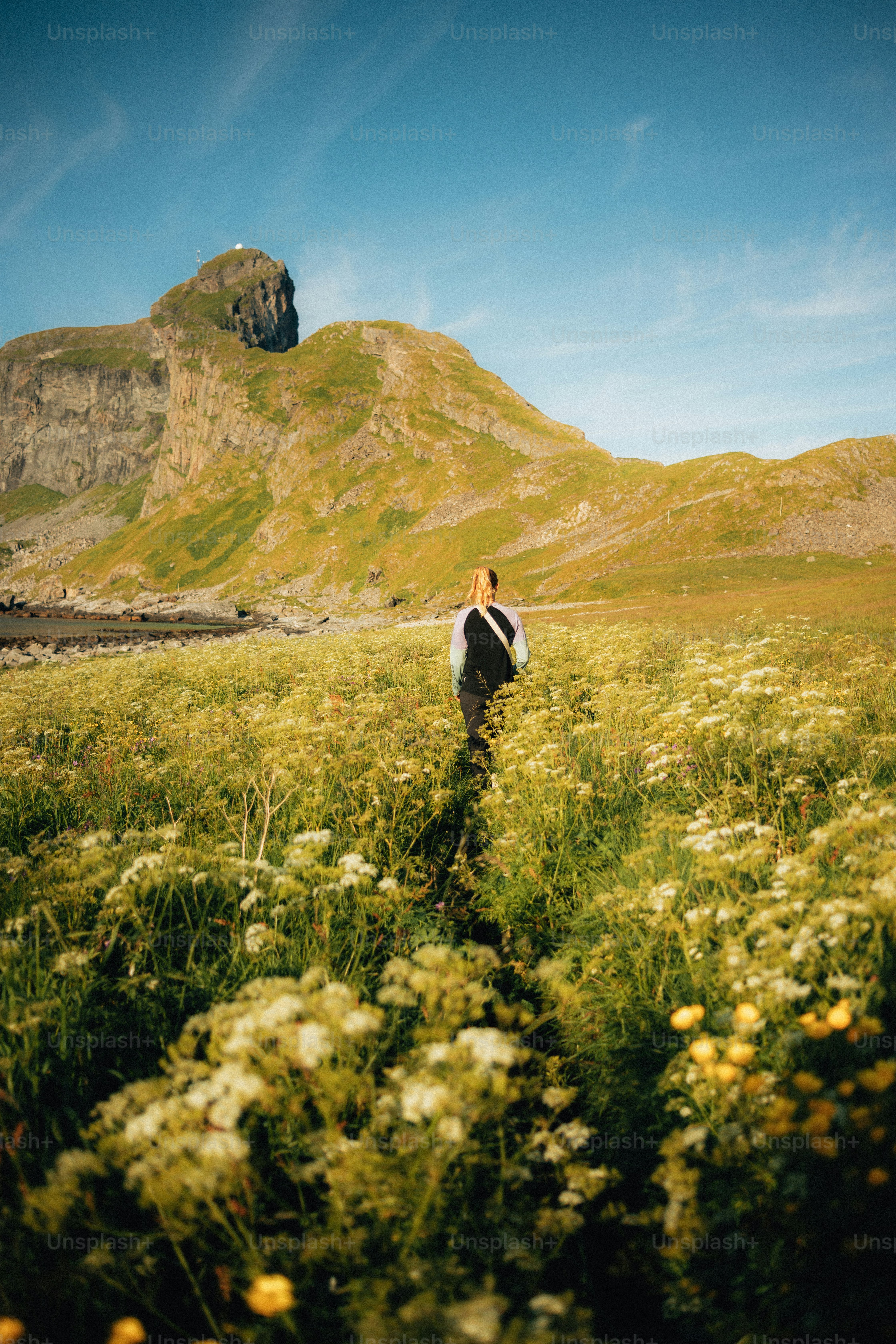 Person geht durch ein Feld, Berg im Hintergrund.