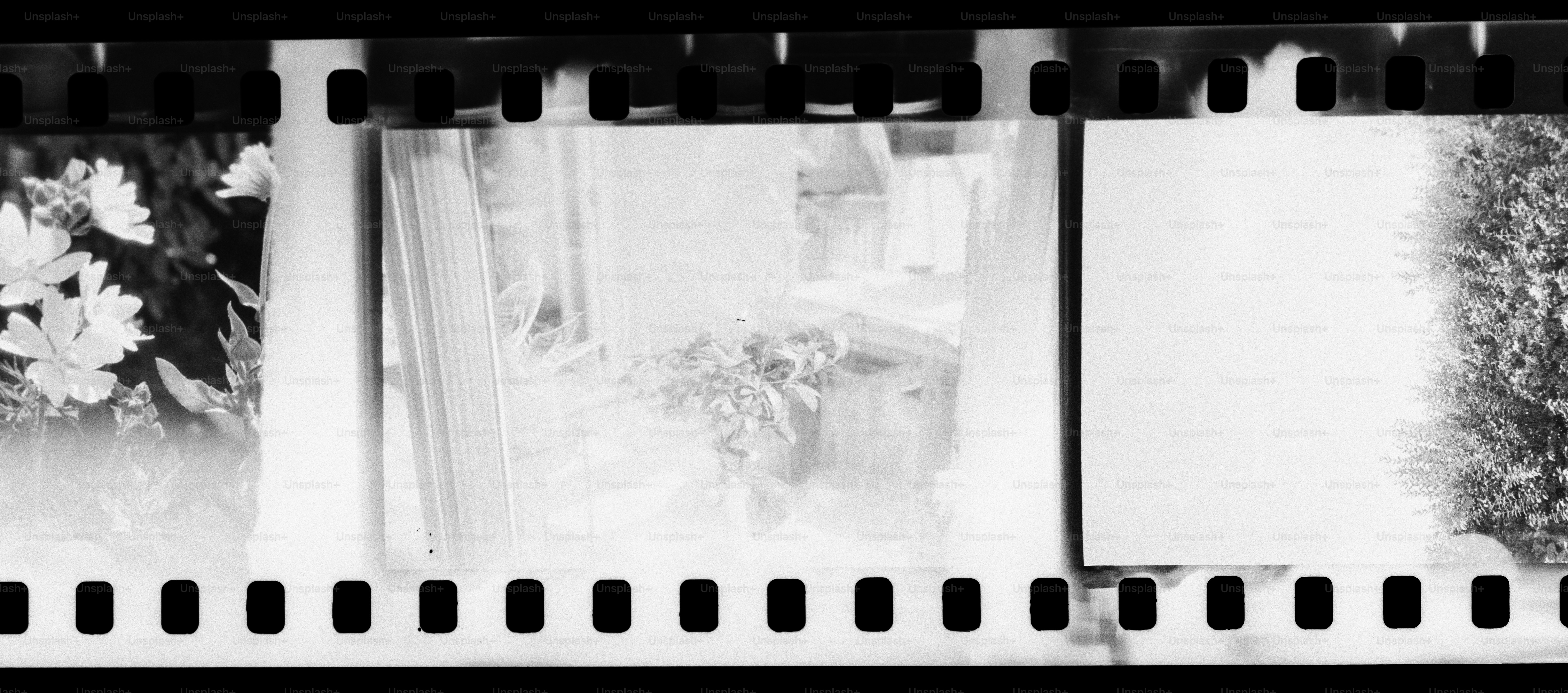 Film negatif dengan tiga gambar berbeda
