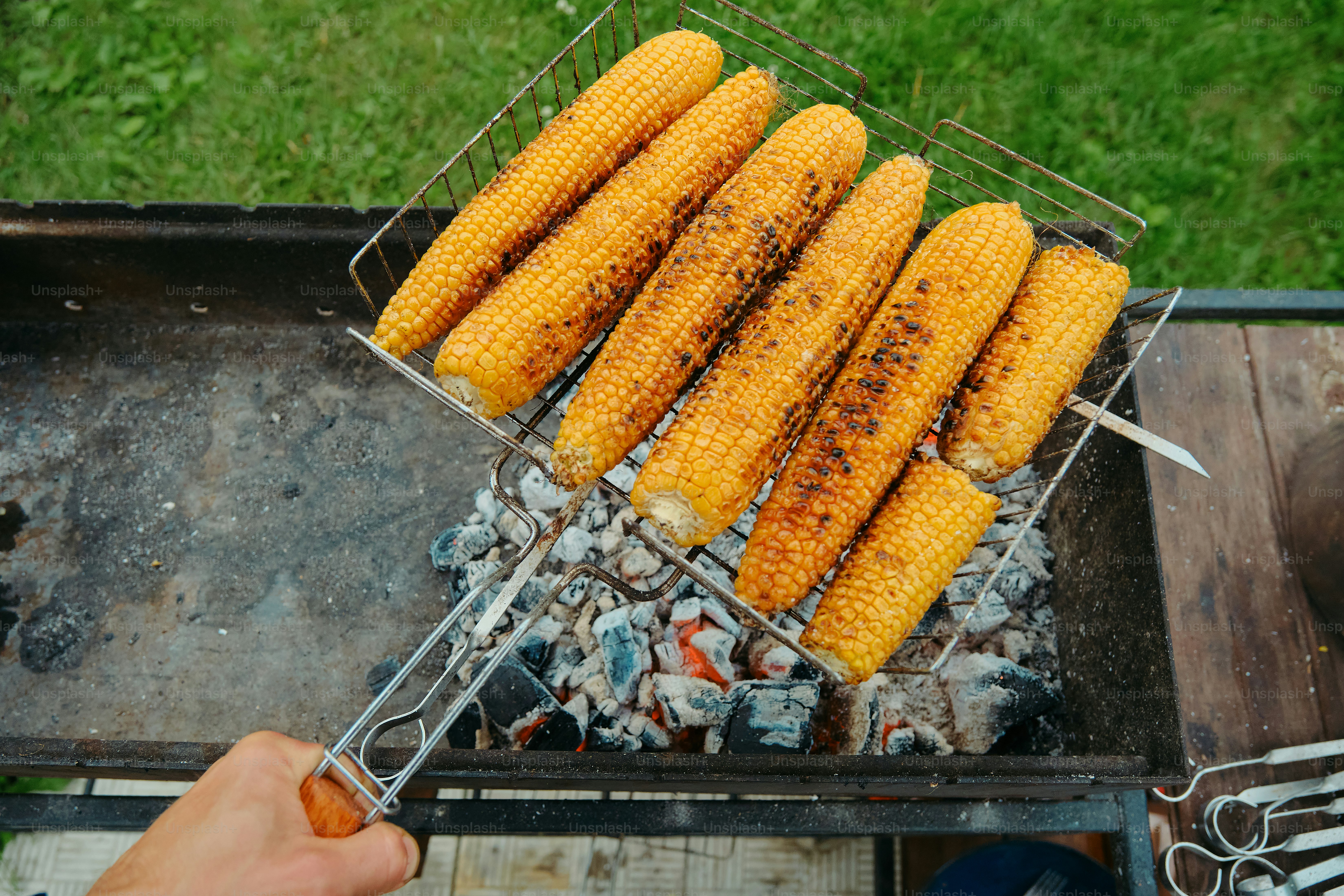 Corn on the cob is being grilled over coals.