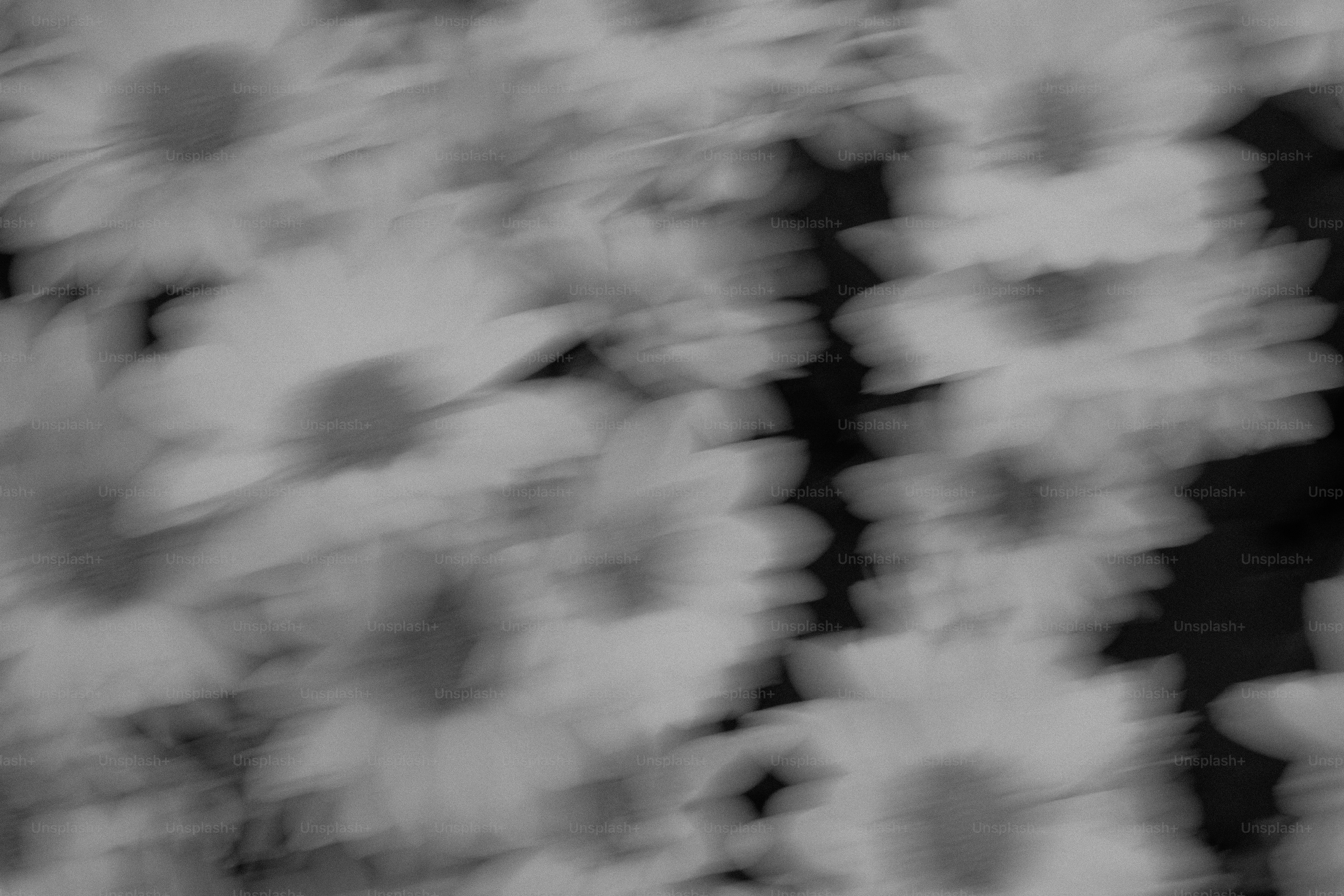 René Peña: provocación en la fotografía - OnCubaNews, image size:3000x2000