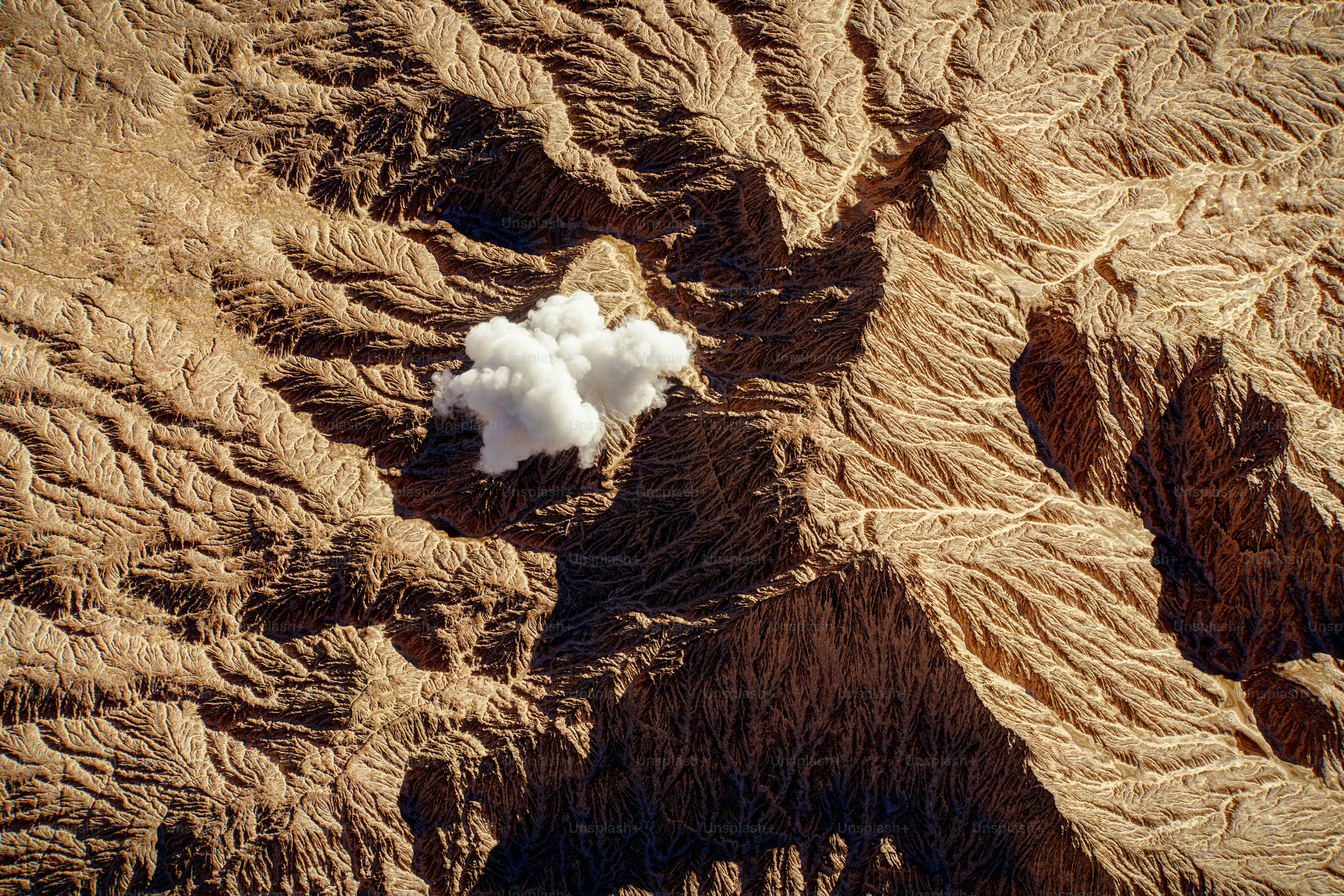 Cloud hovers over textured, earthy landscape.