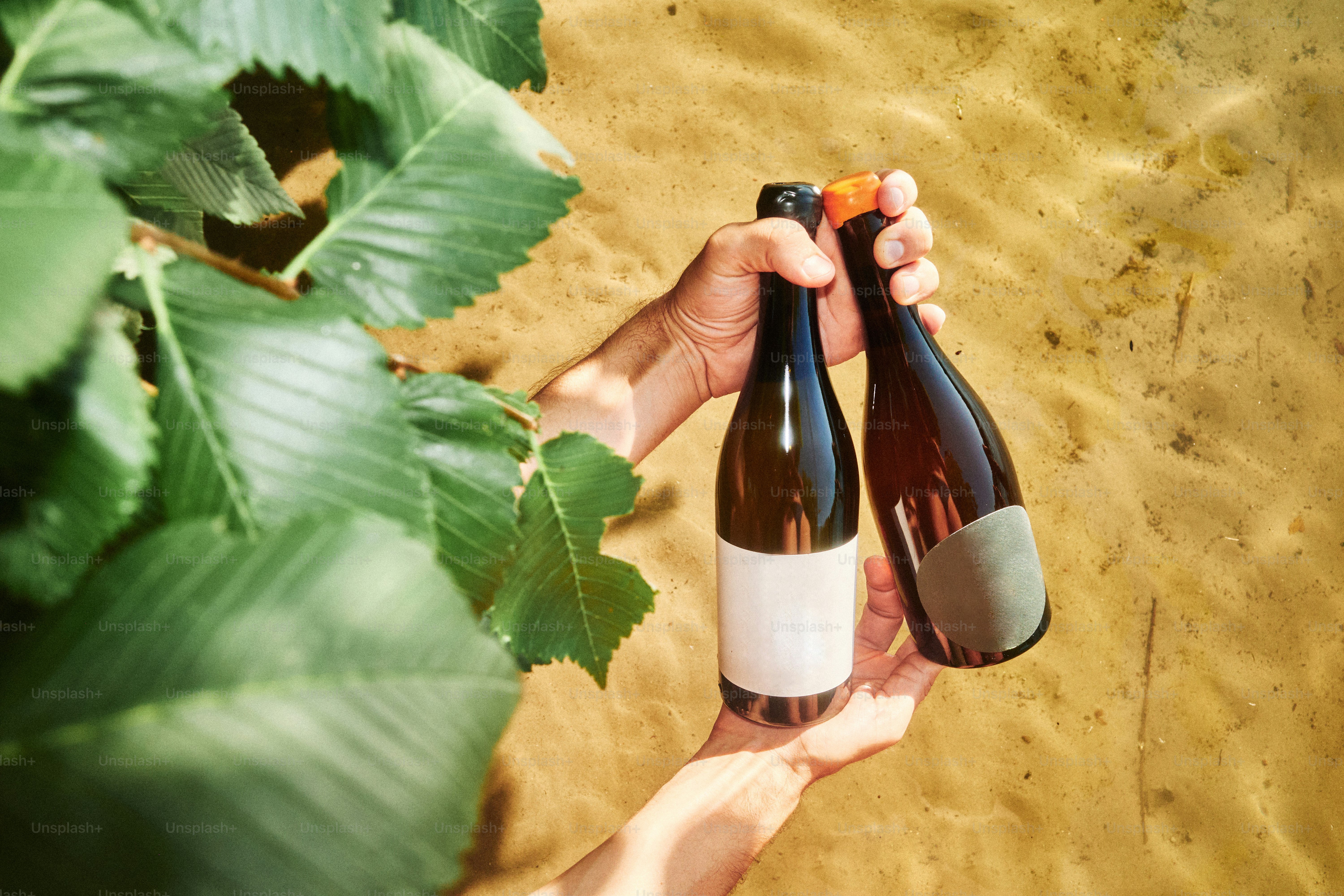 Dua botol minuman disimpan di dekat daun.