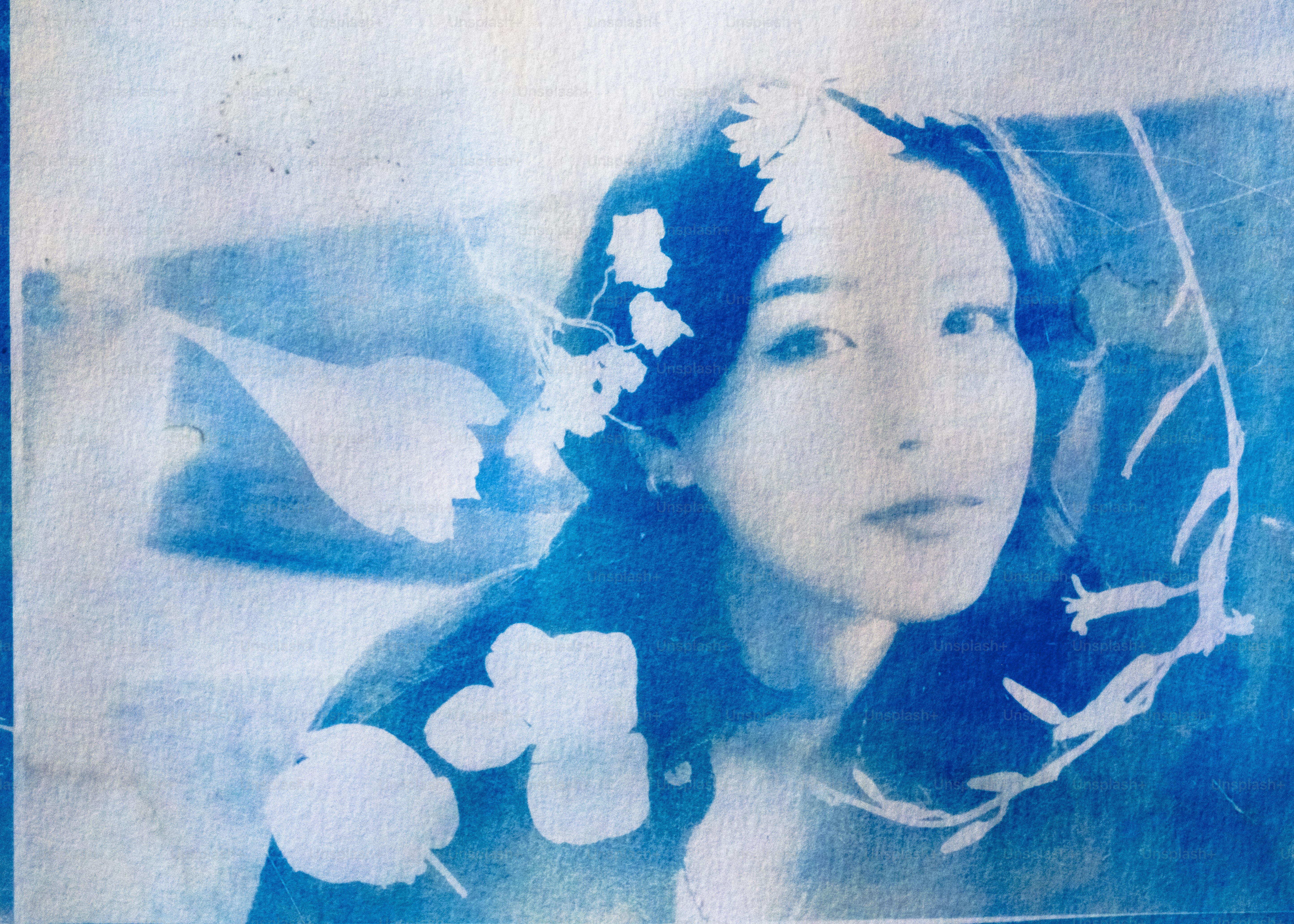 Un ritratto di donna è in tonalità blu