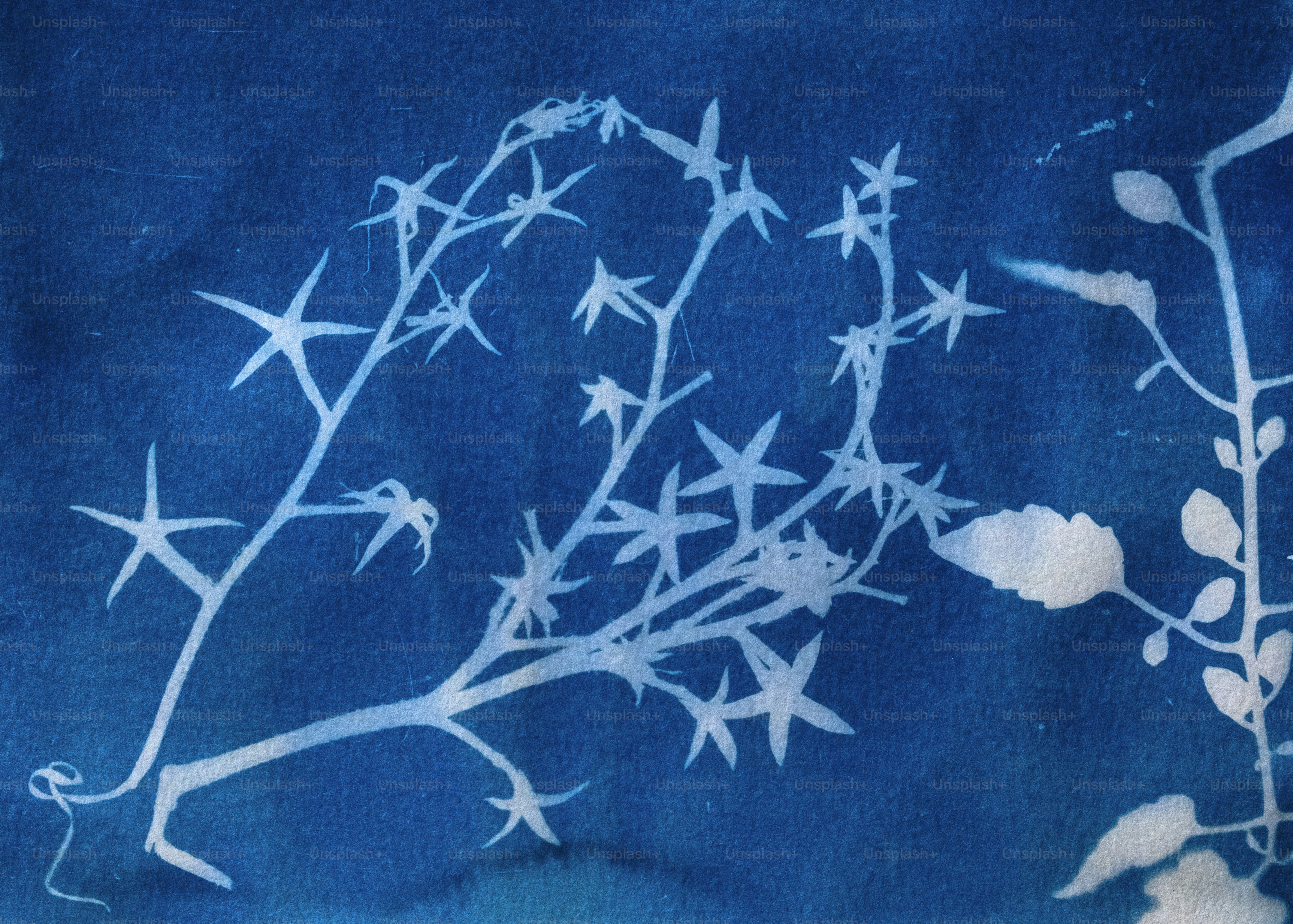 Cover Image of the Post