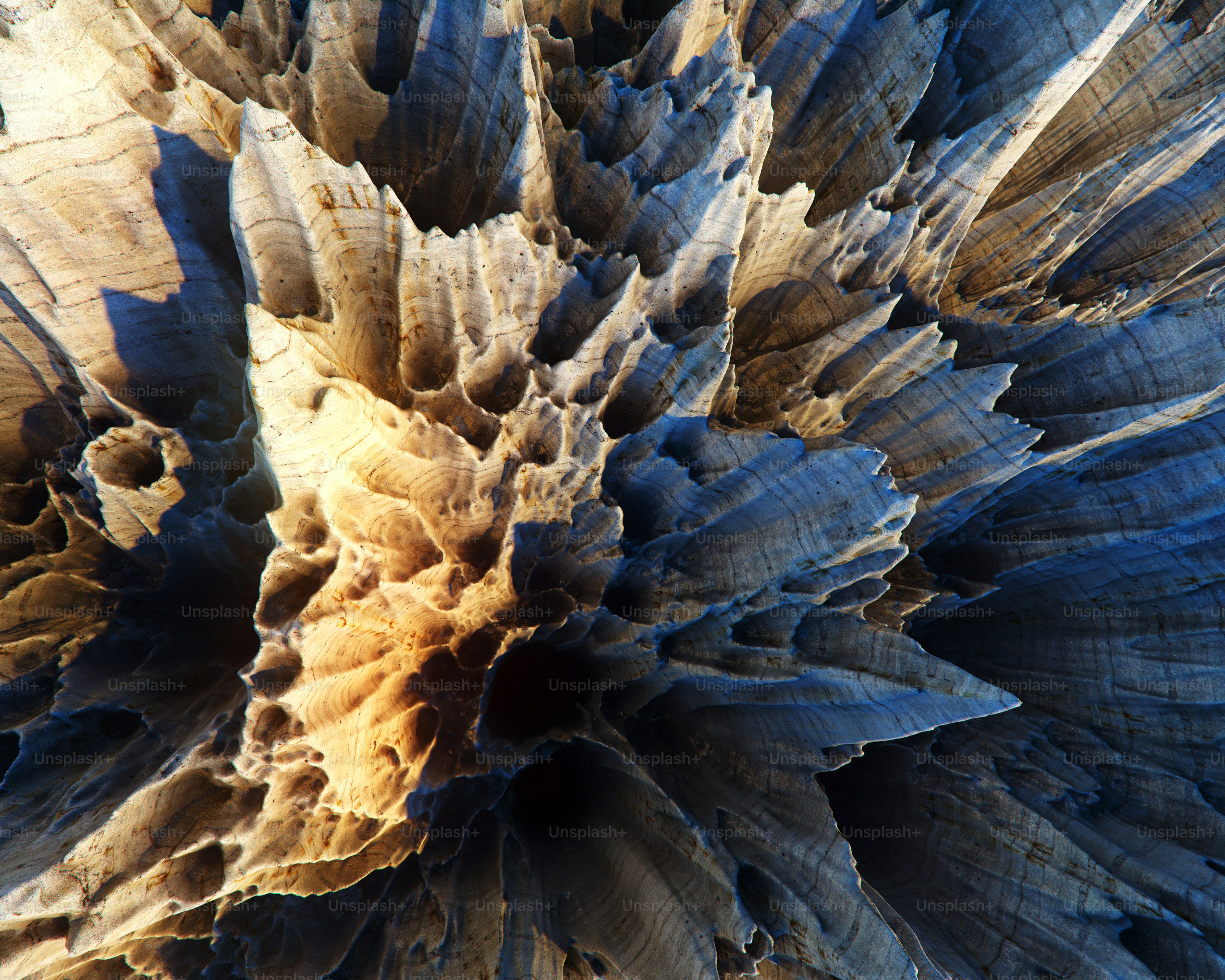 Abstract view of weathered wood and texture