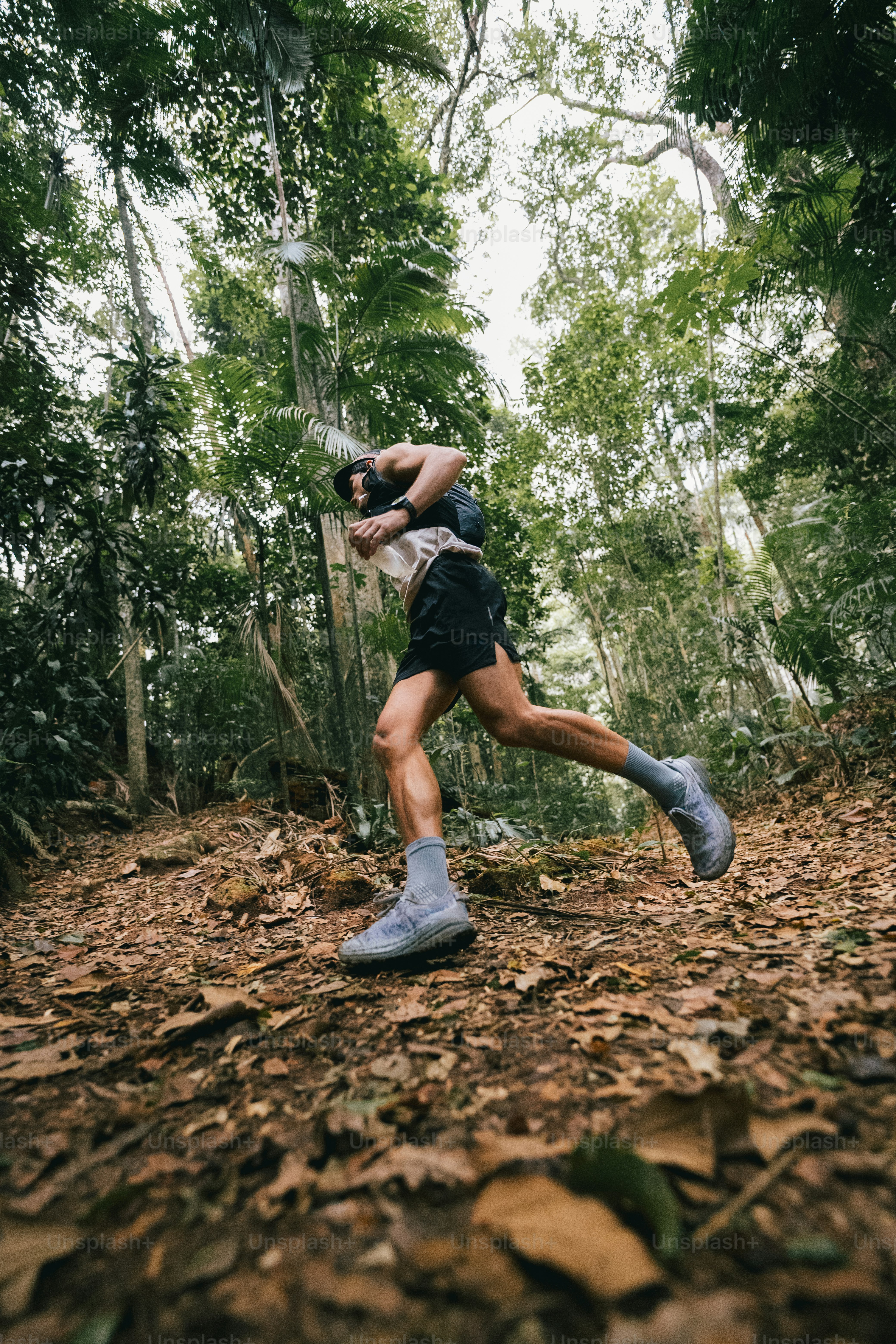 A runner is seen jogging through the forest. photo – Sport Image on ...