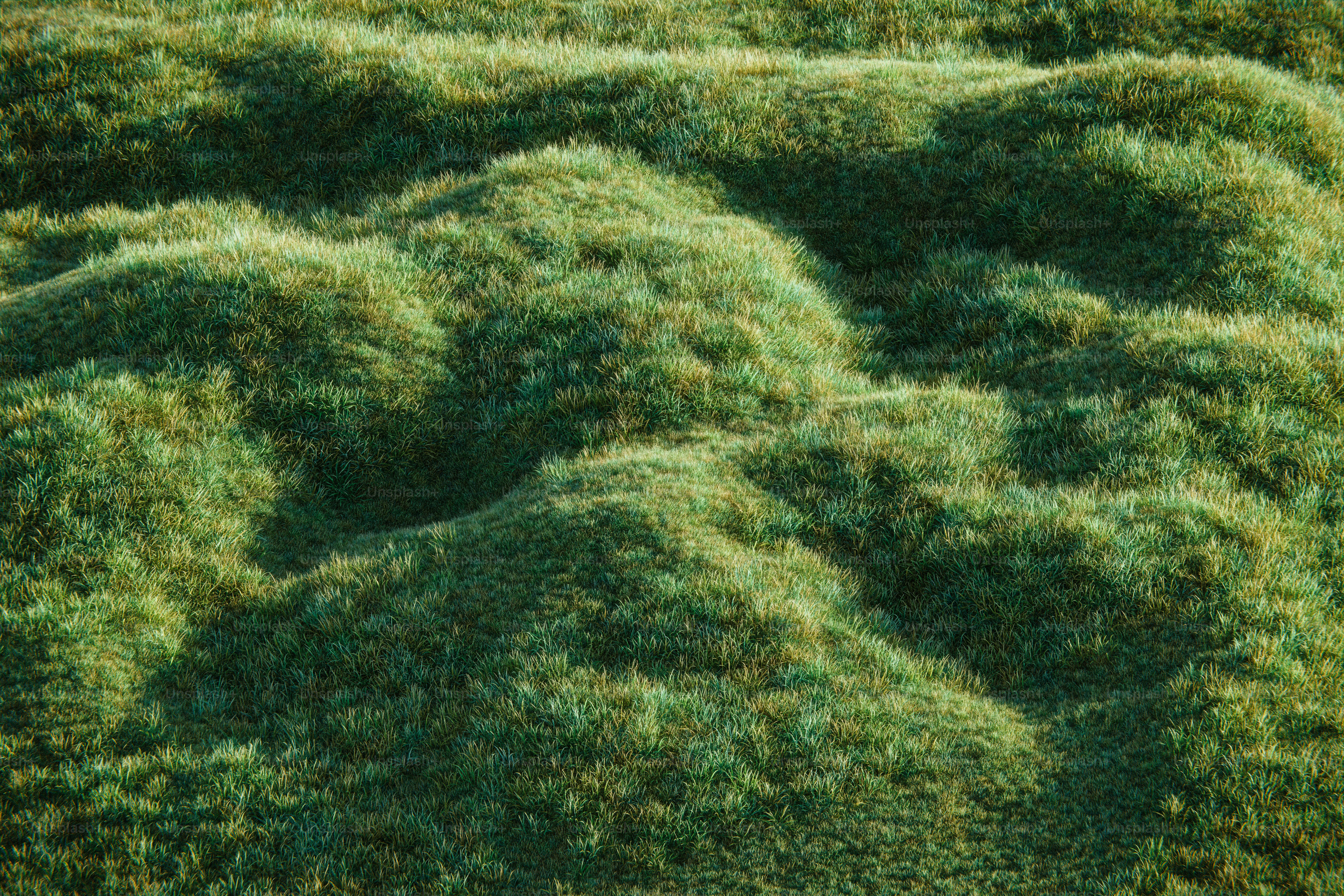 Green grass covers rolling hills and mounds.