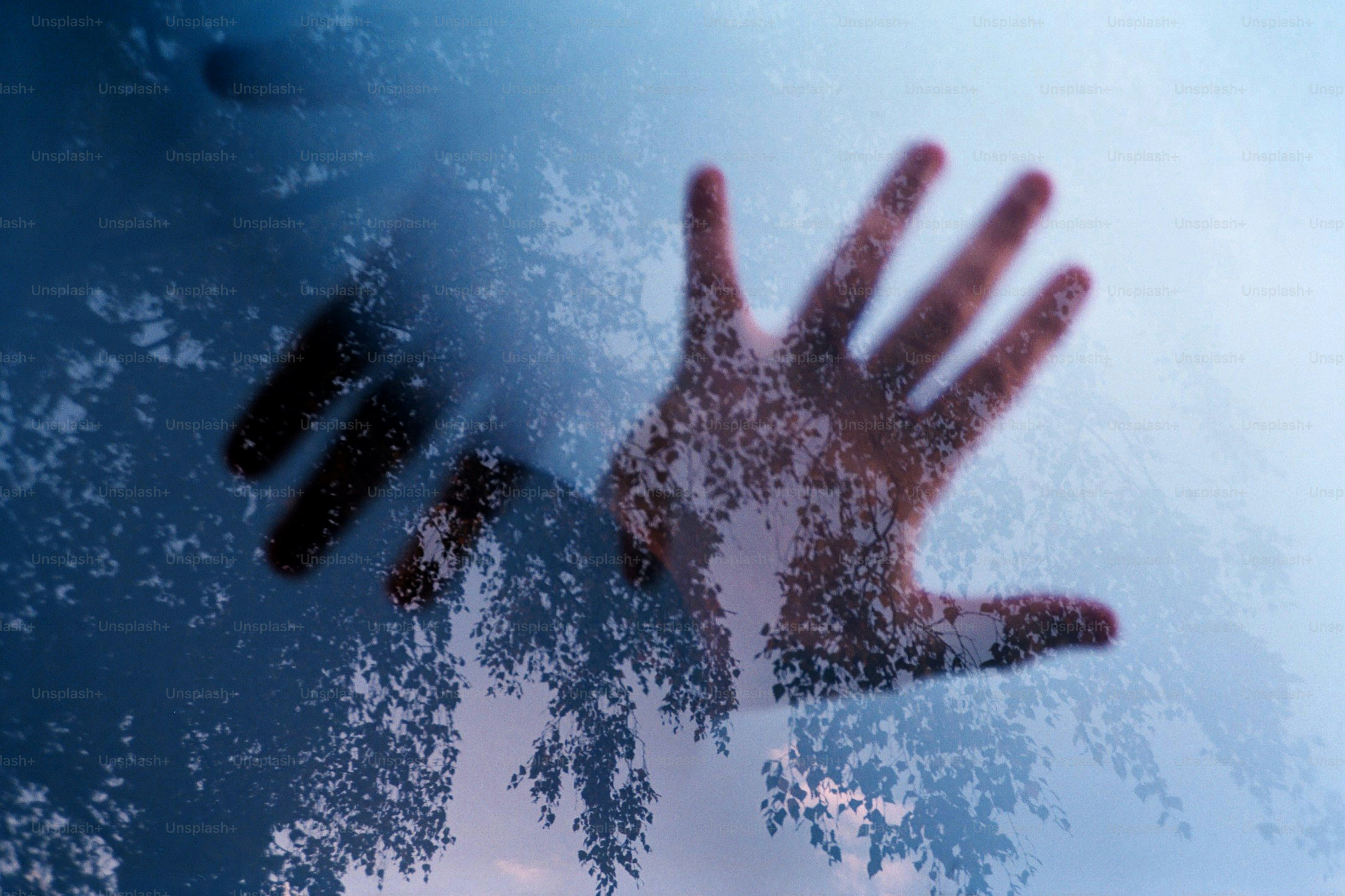 Une main traverse une forêt brumeuse.