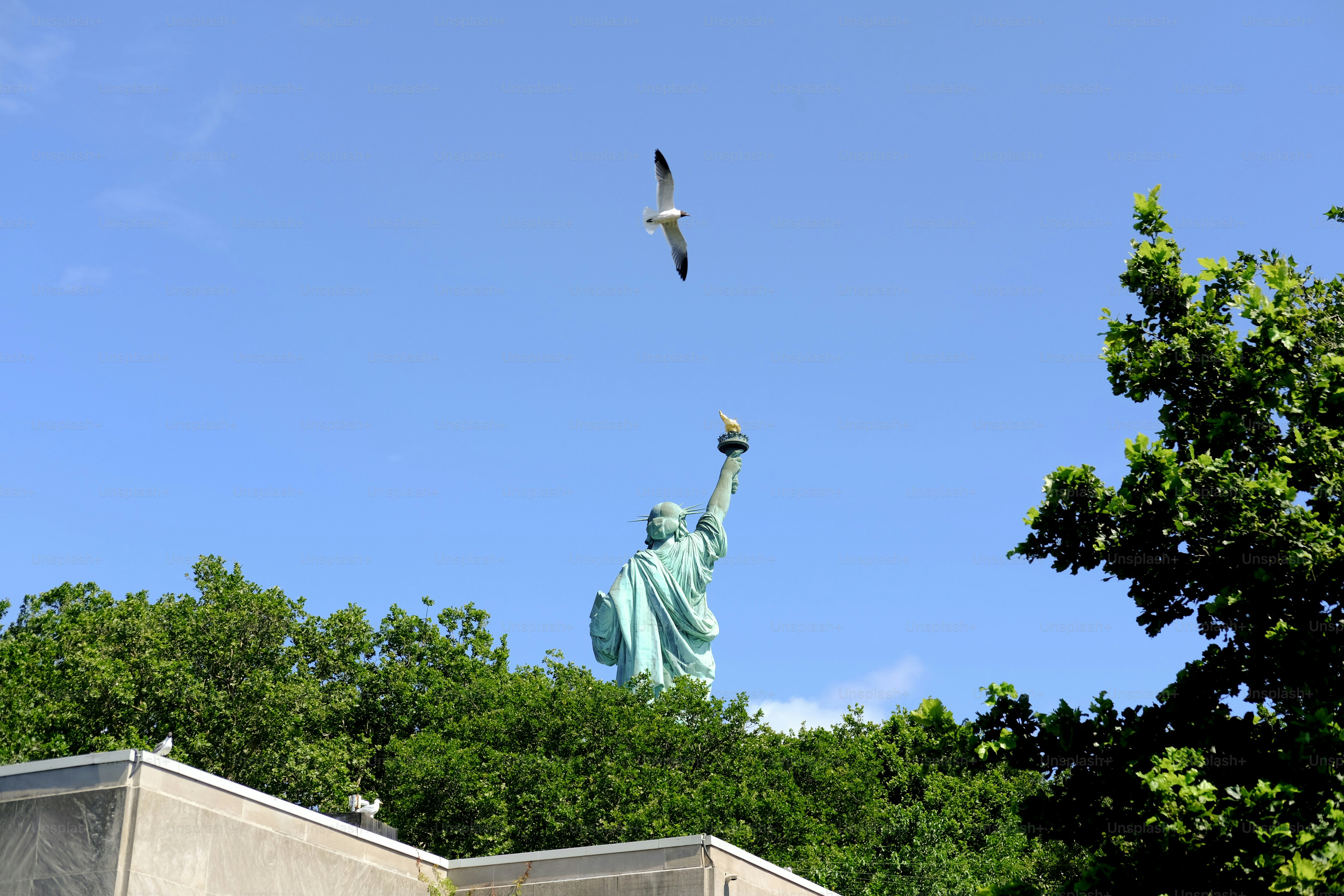 The statue of liberty with a flying seagull.