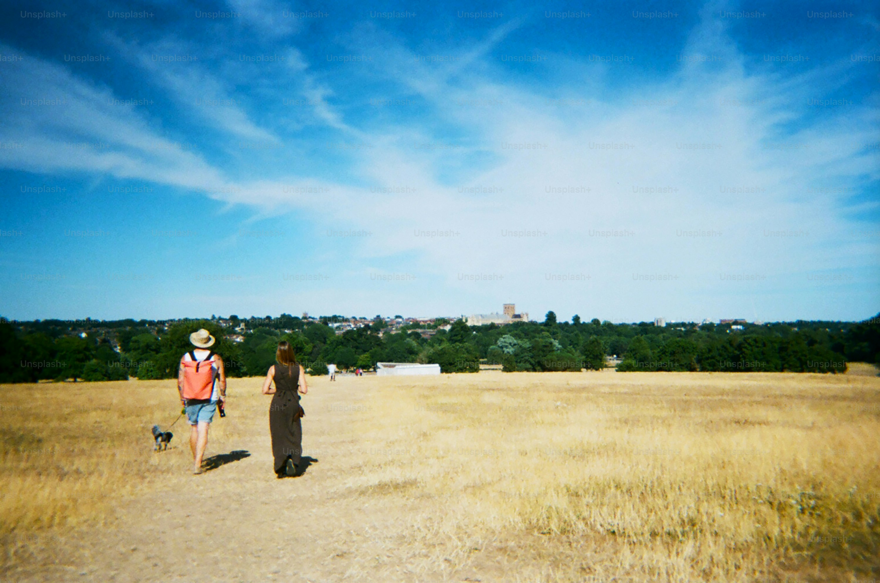 Les gens se promènent dans un champ ensoleillé sous un ciel bleu.
