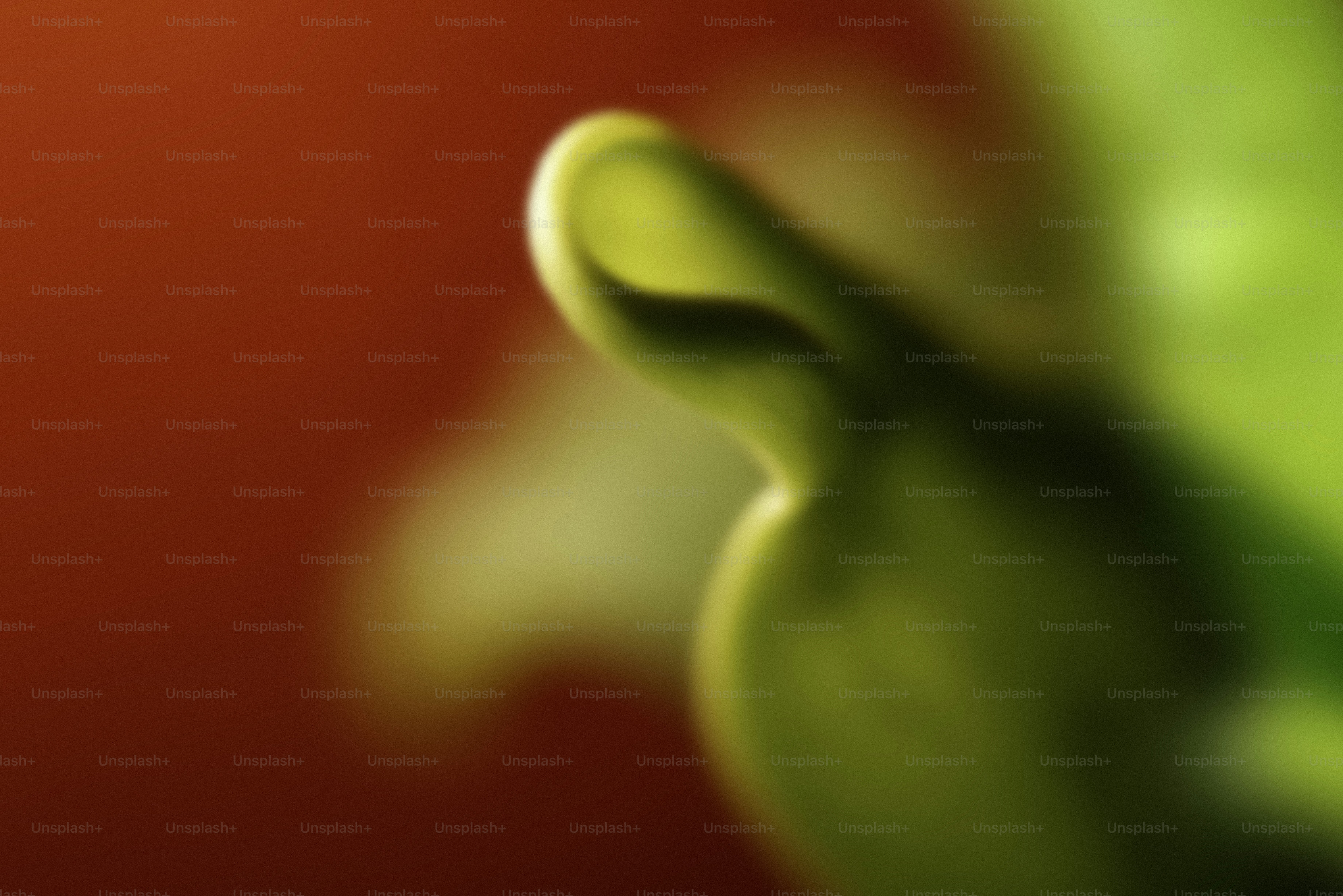 Close-up of a green leaf with red background.