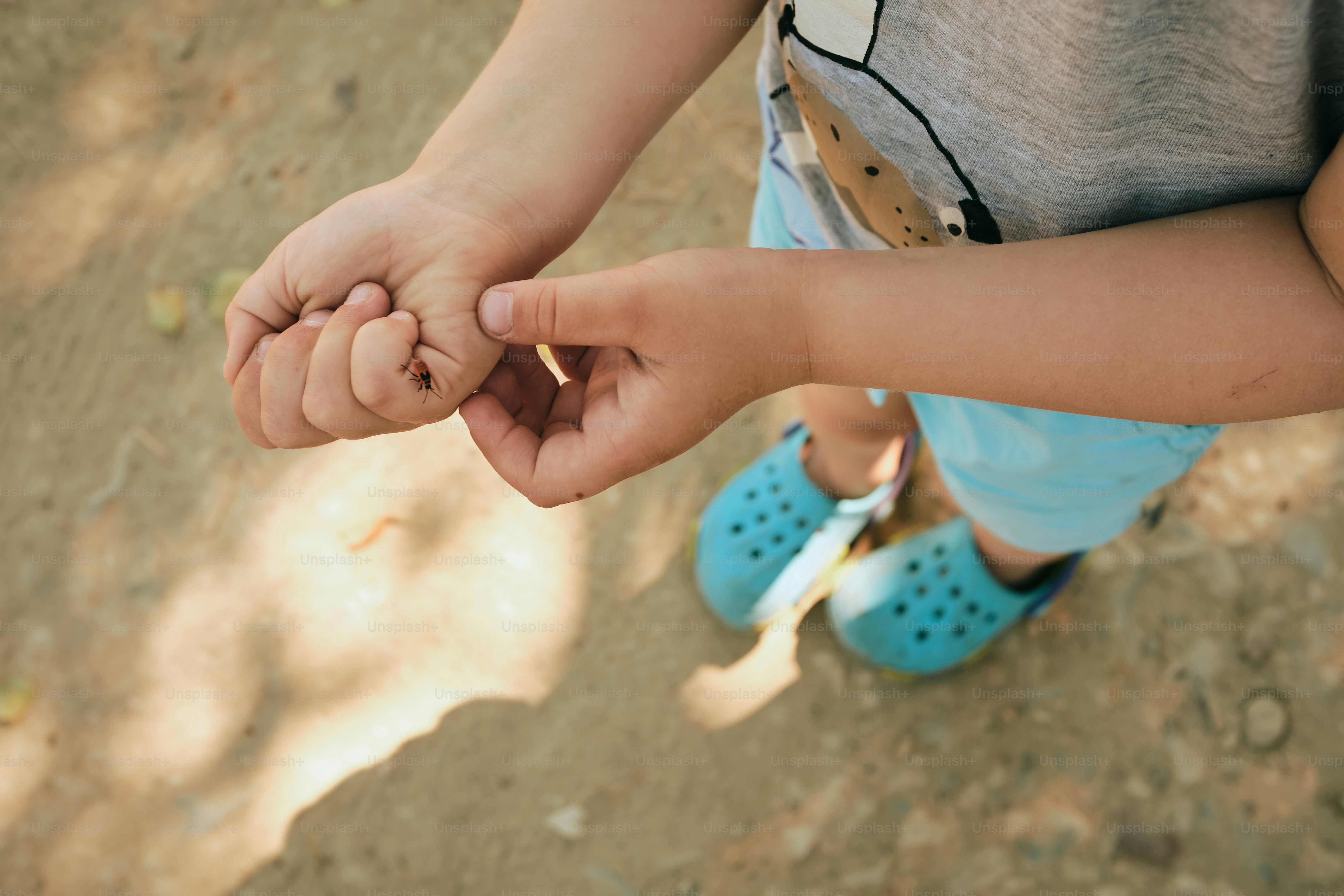 A child examines something in their hands.