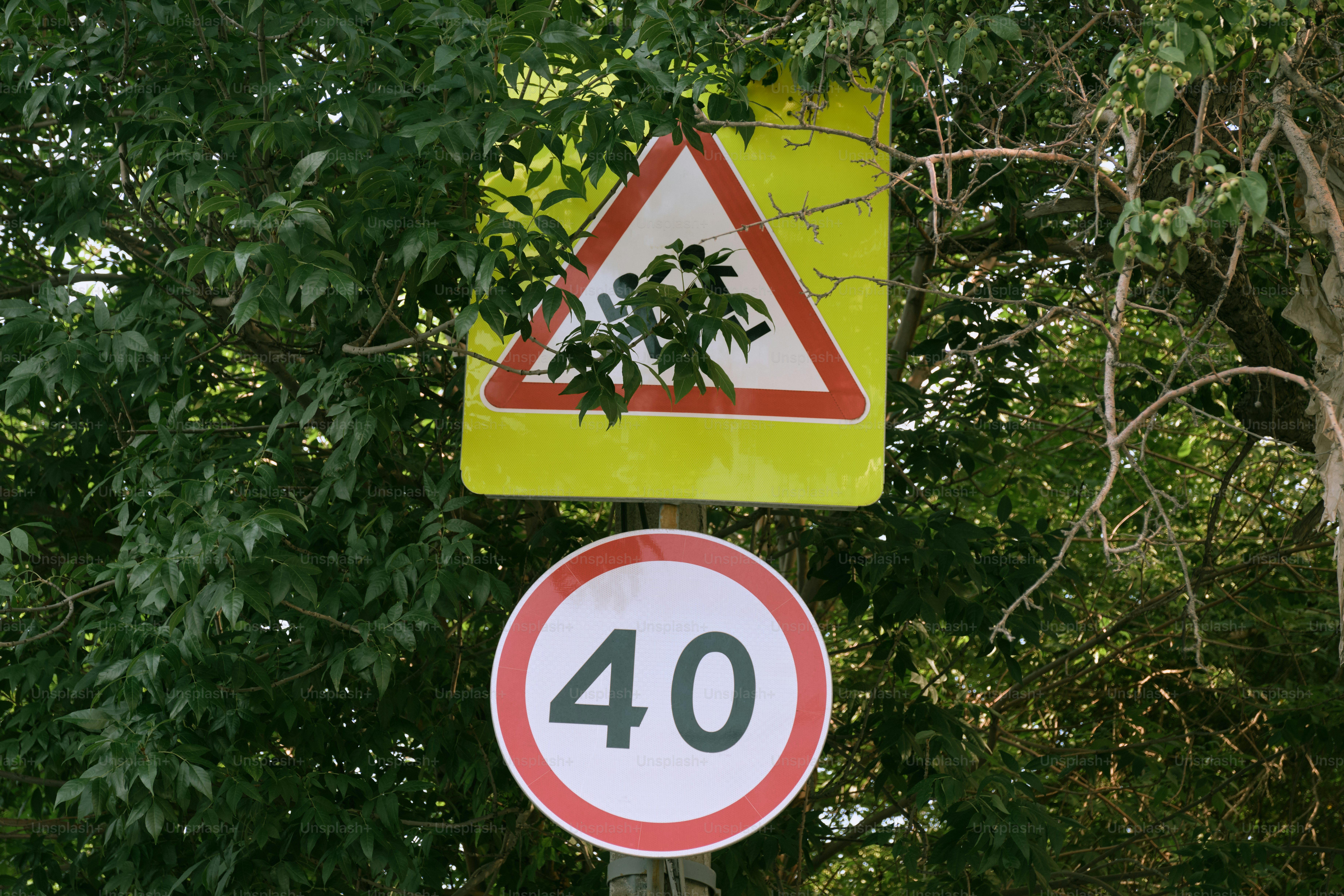 Traffic signs warn of obstacles and a speed limit.