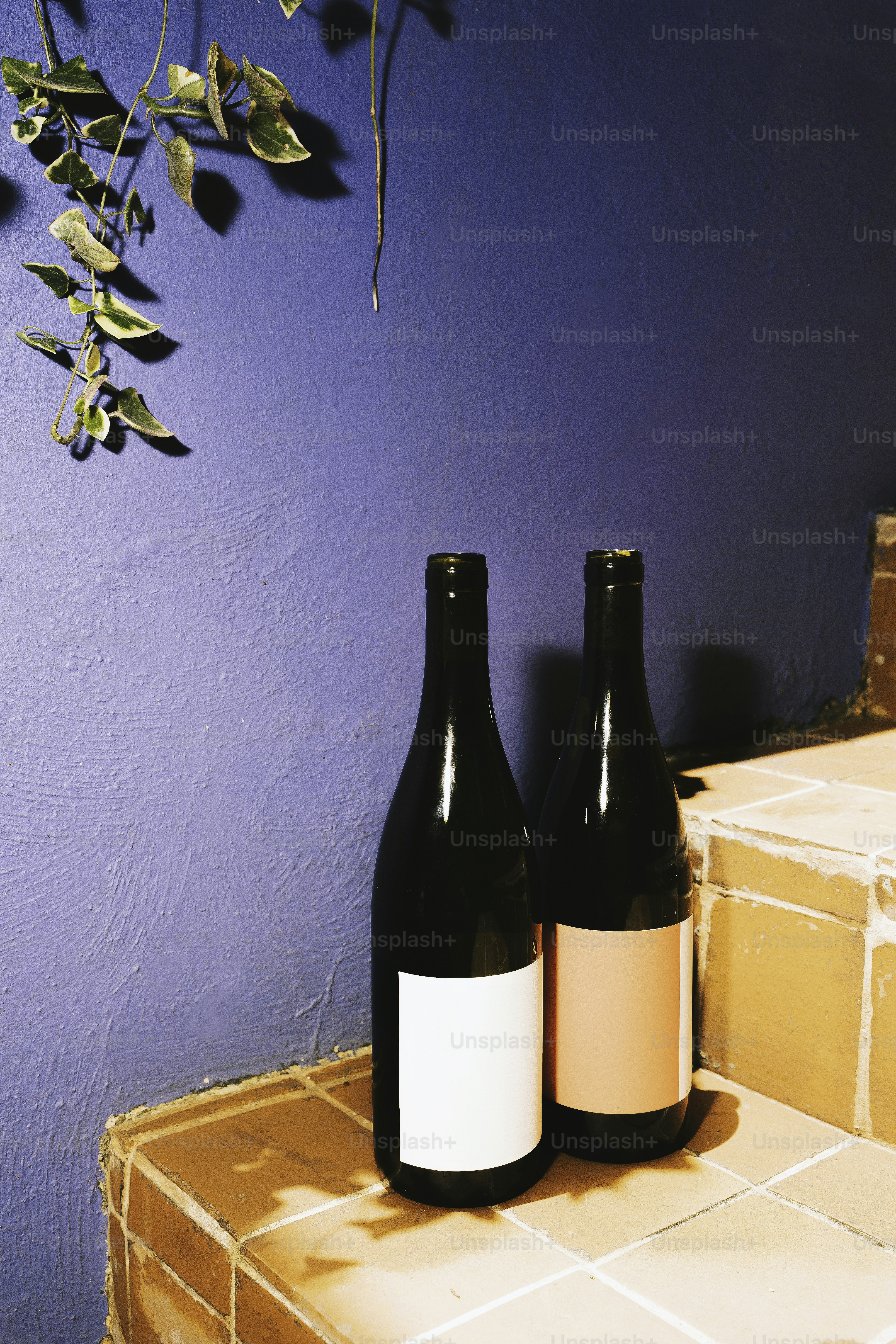 Two bottles of wine sit on a tiled surface.