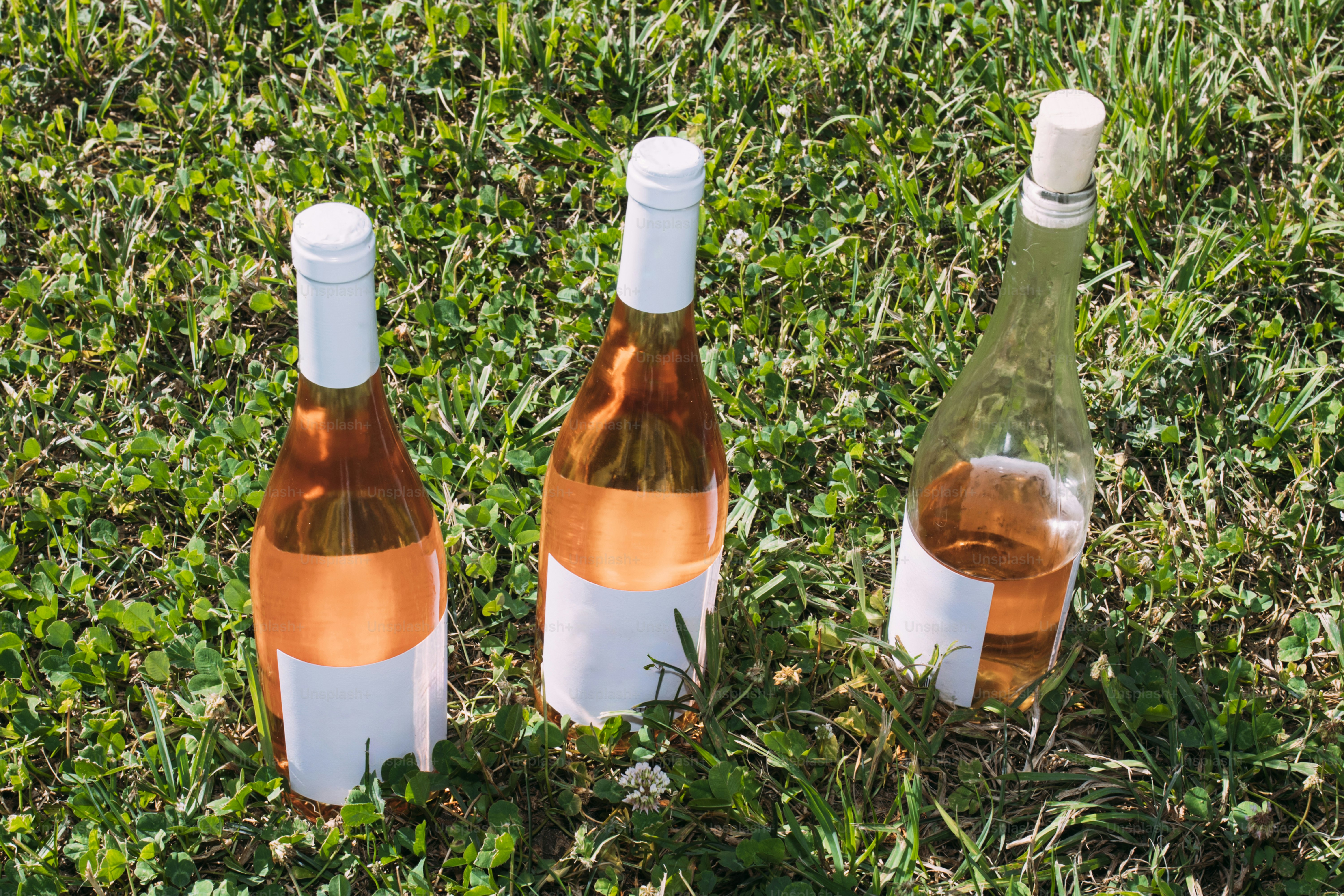 Drei Flaschen Roséwein stehen auf Gras
