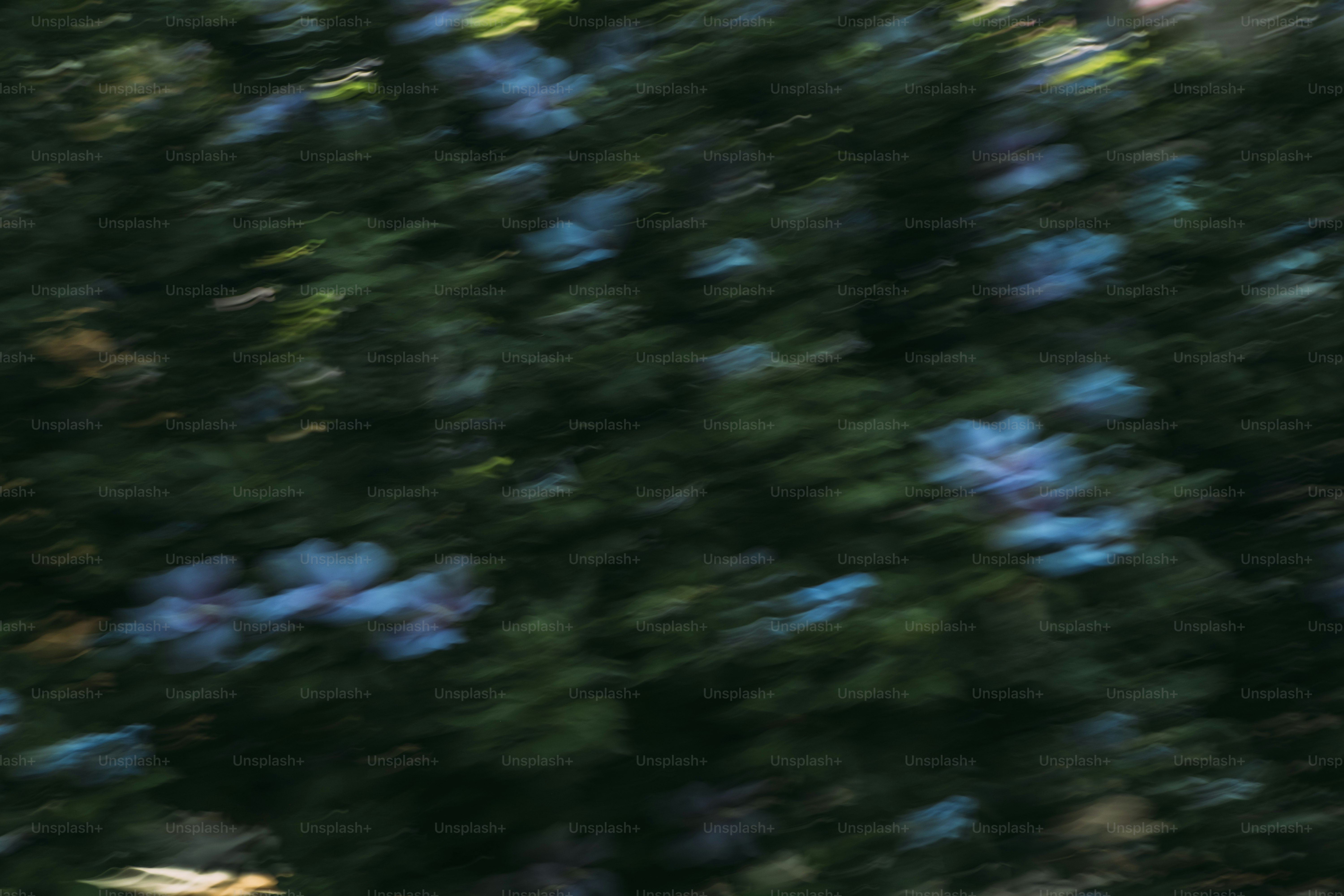 Blurred image of greenery with blue flowers.