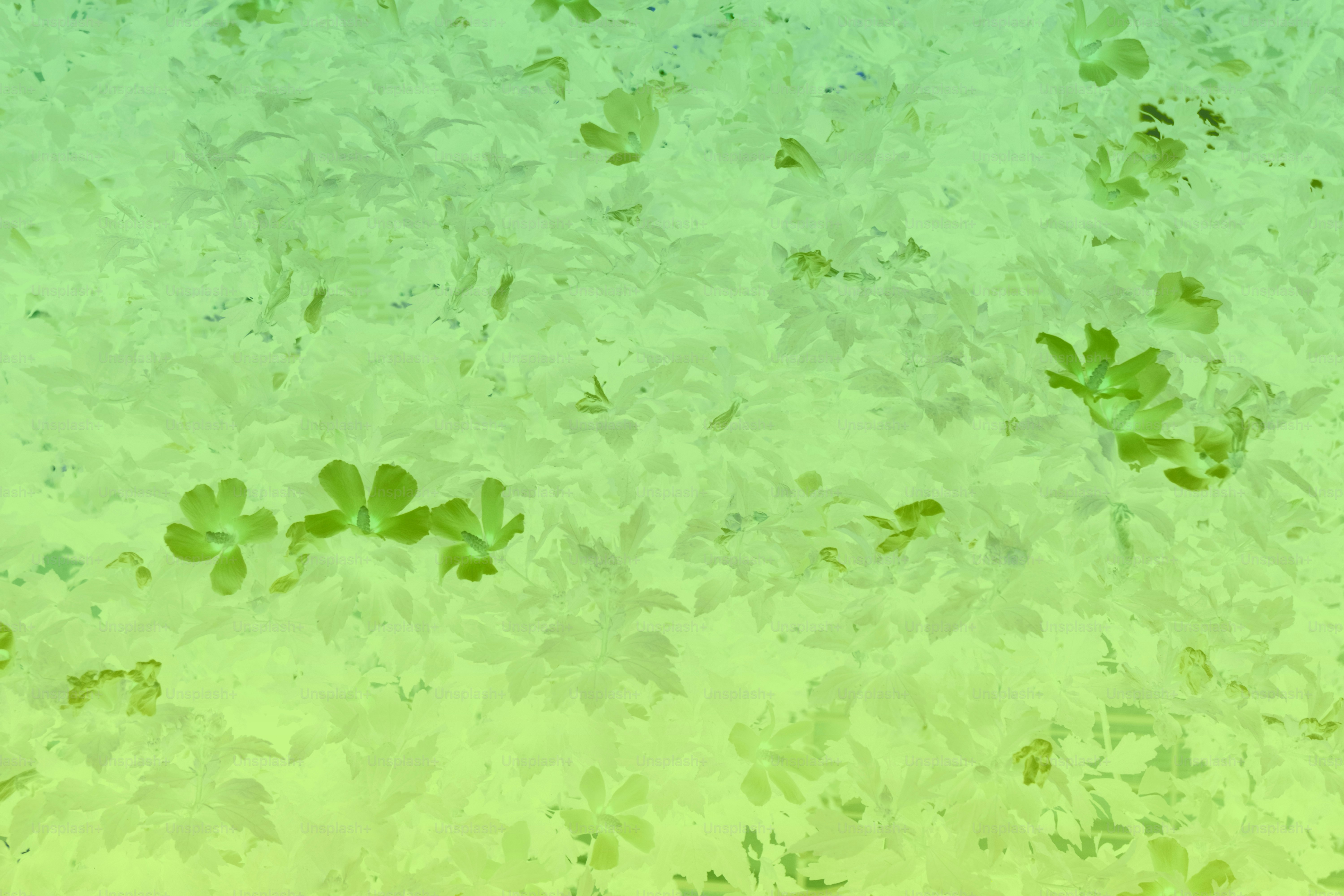 Small green plants are scattered on a textured surface.