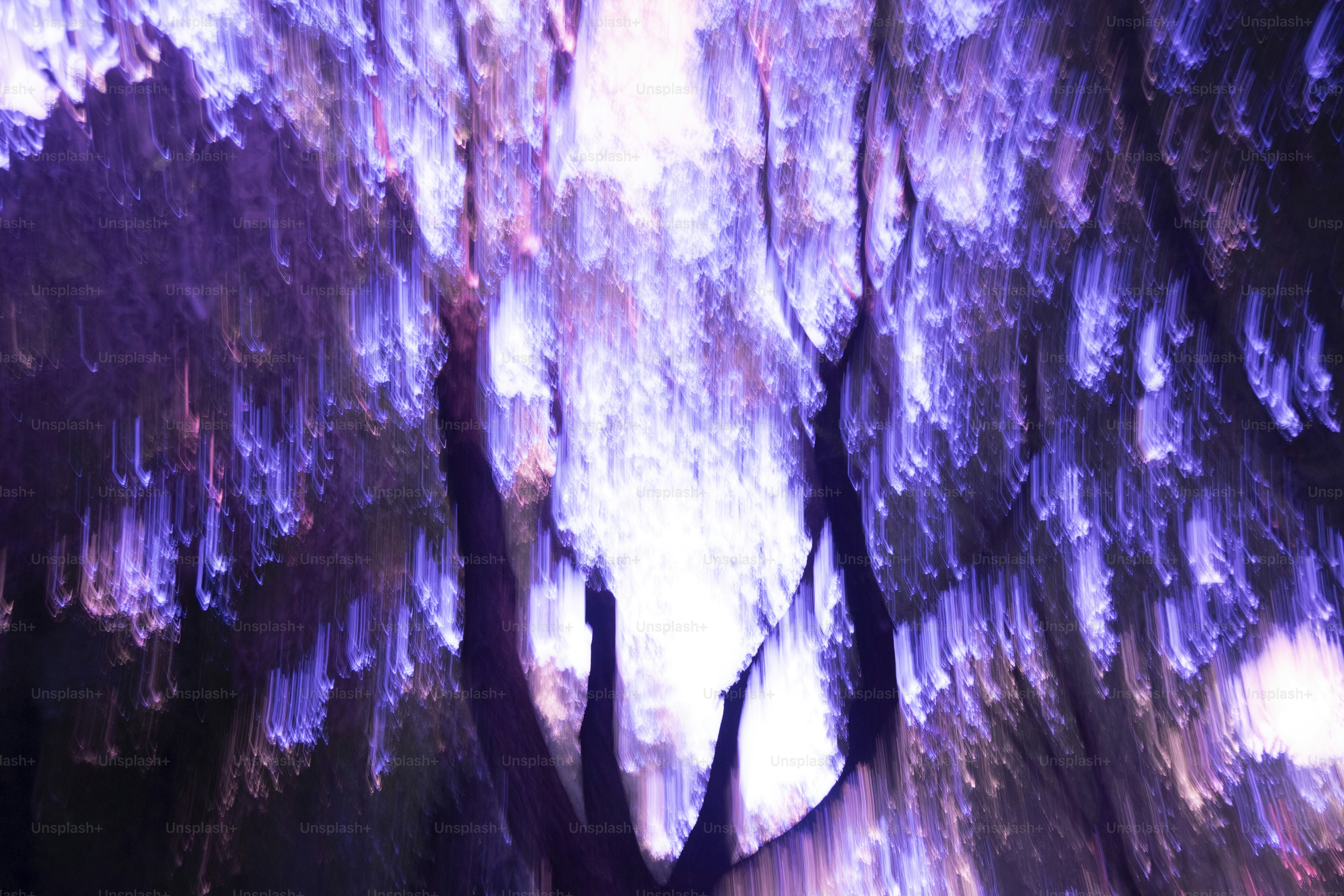 Blurry and abstract purple trees are depicted.
