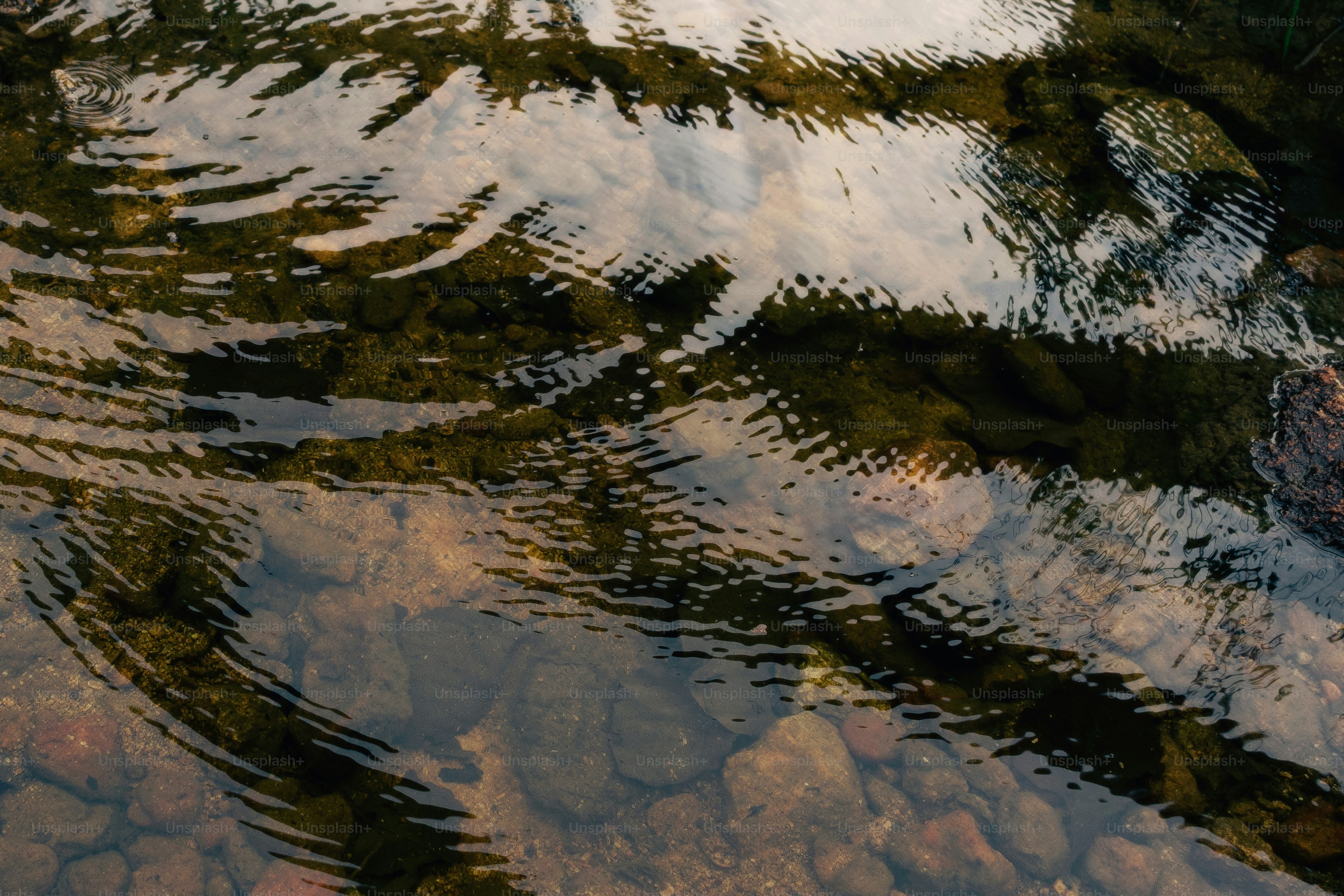Ripples reflect light on the clear water. photo – Outdoors Image on ...