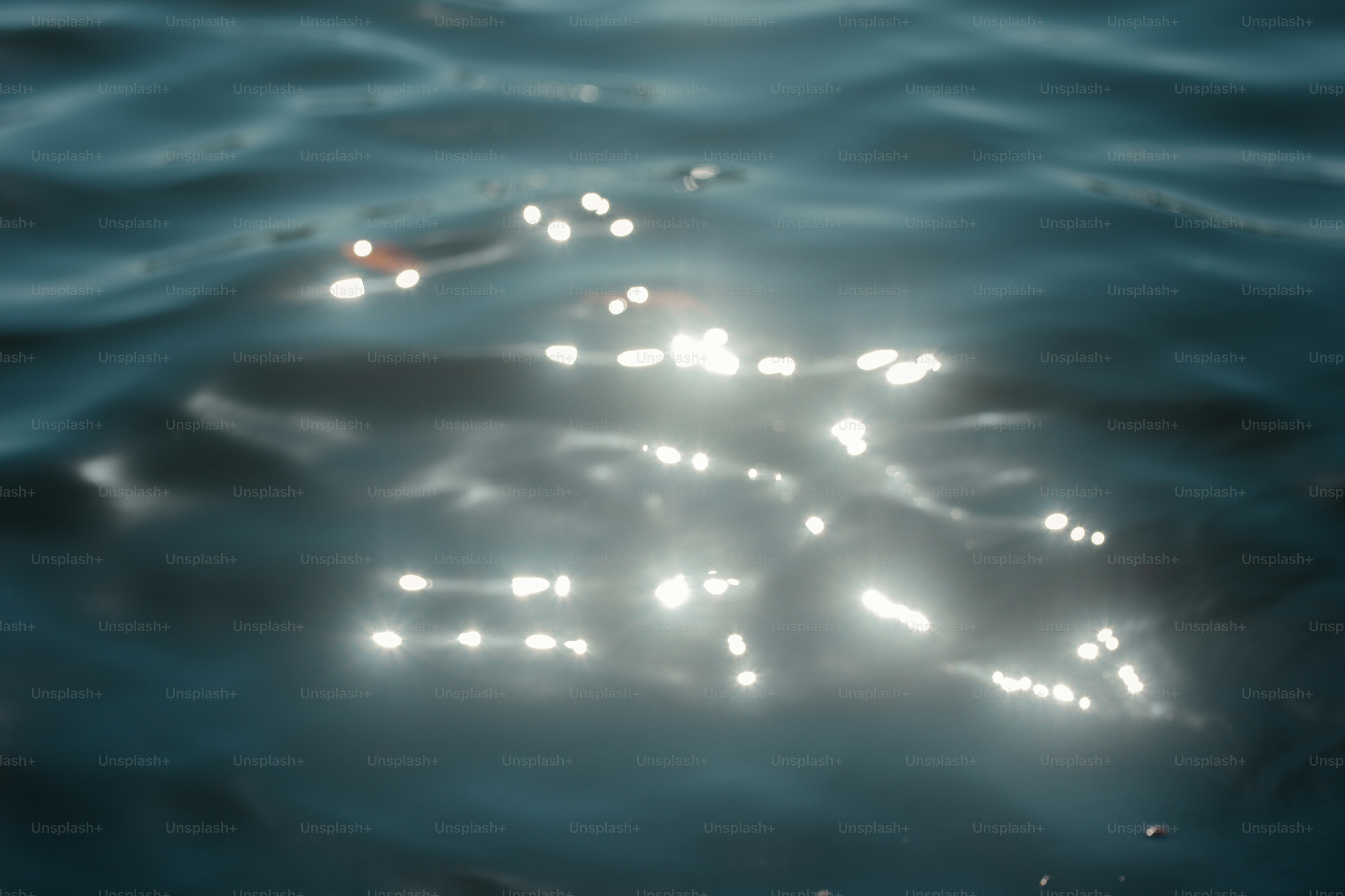 Sunlight sparkles on the water's surface.