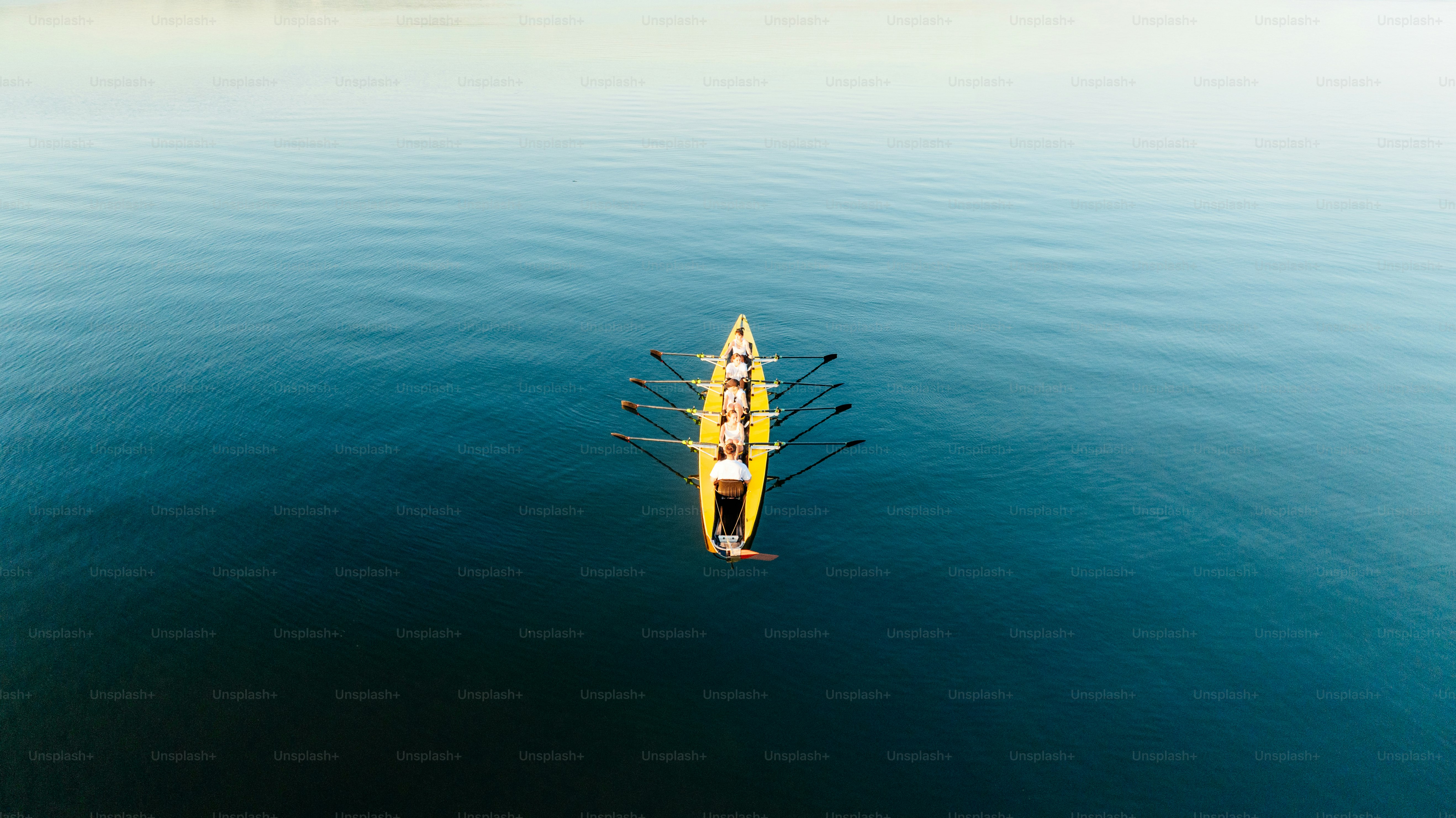 A crew team rows across calm waters.