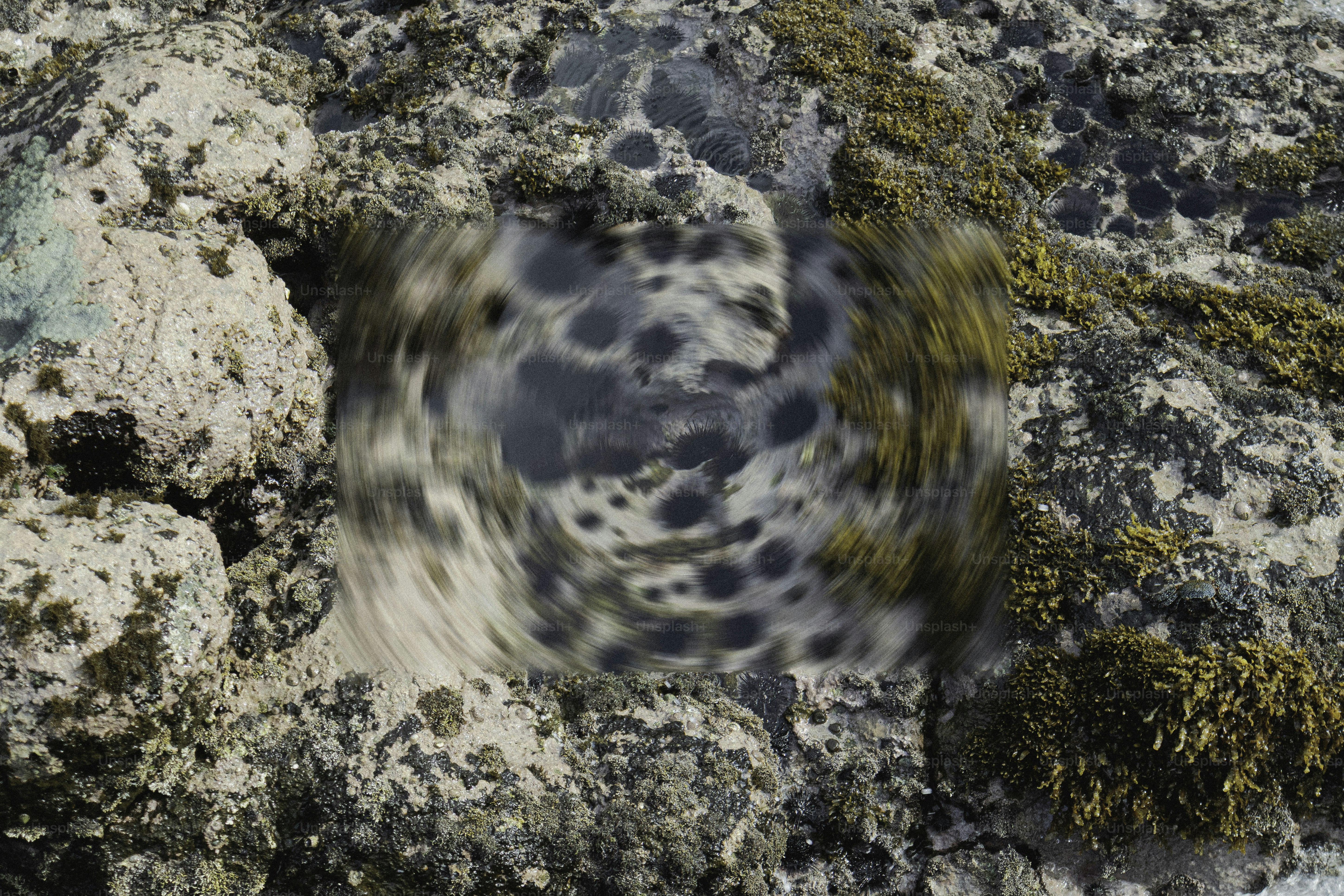 A swirling pool of water is in the rock.