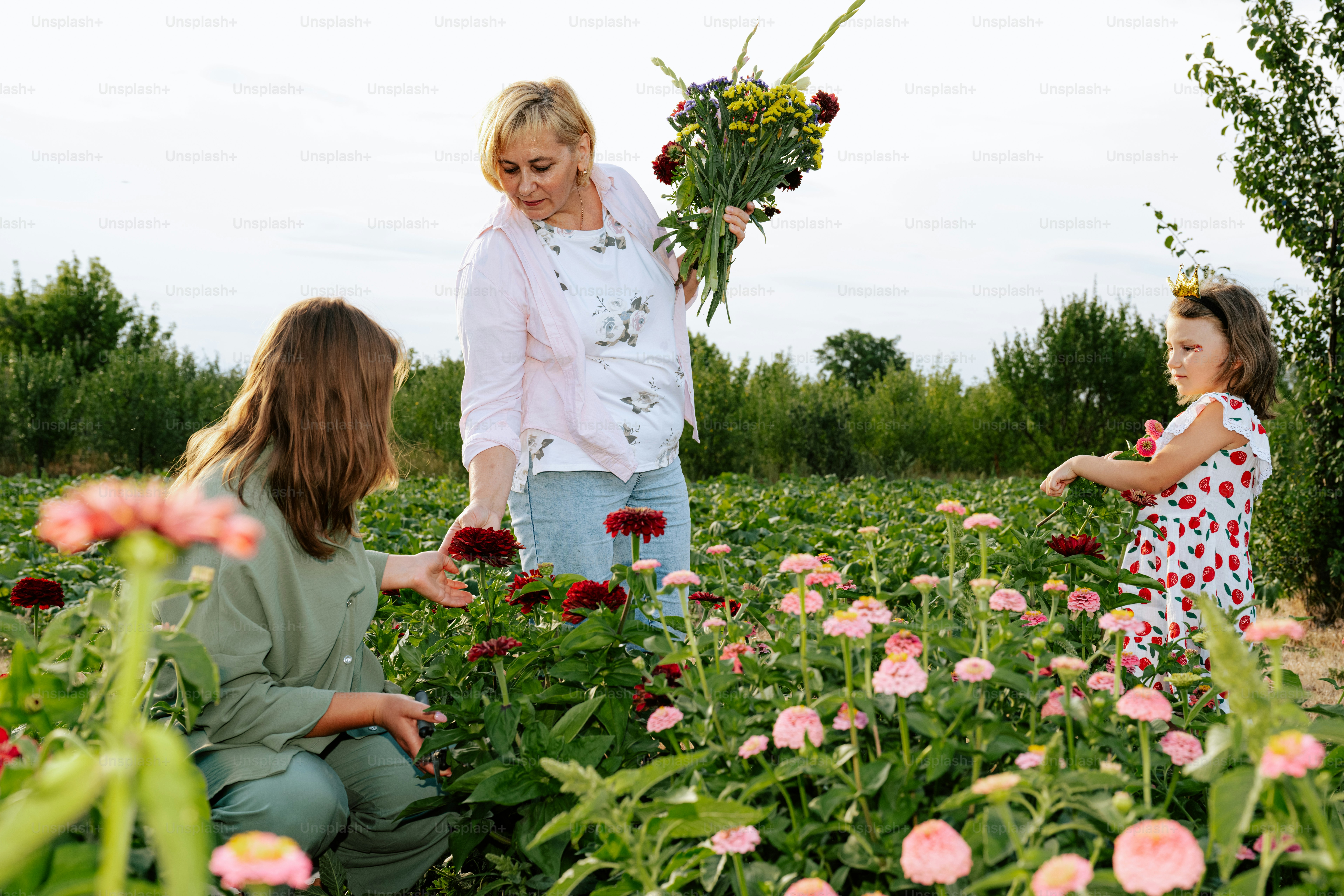 Familia recogiendo flores en un hermoso y soleado campo.