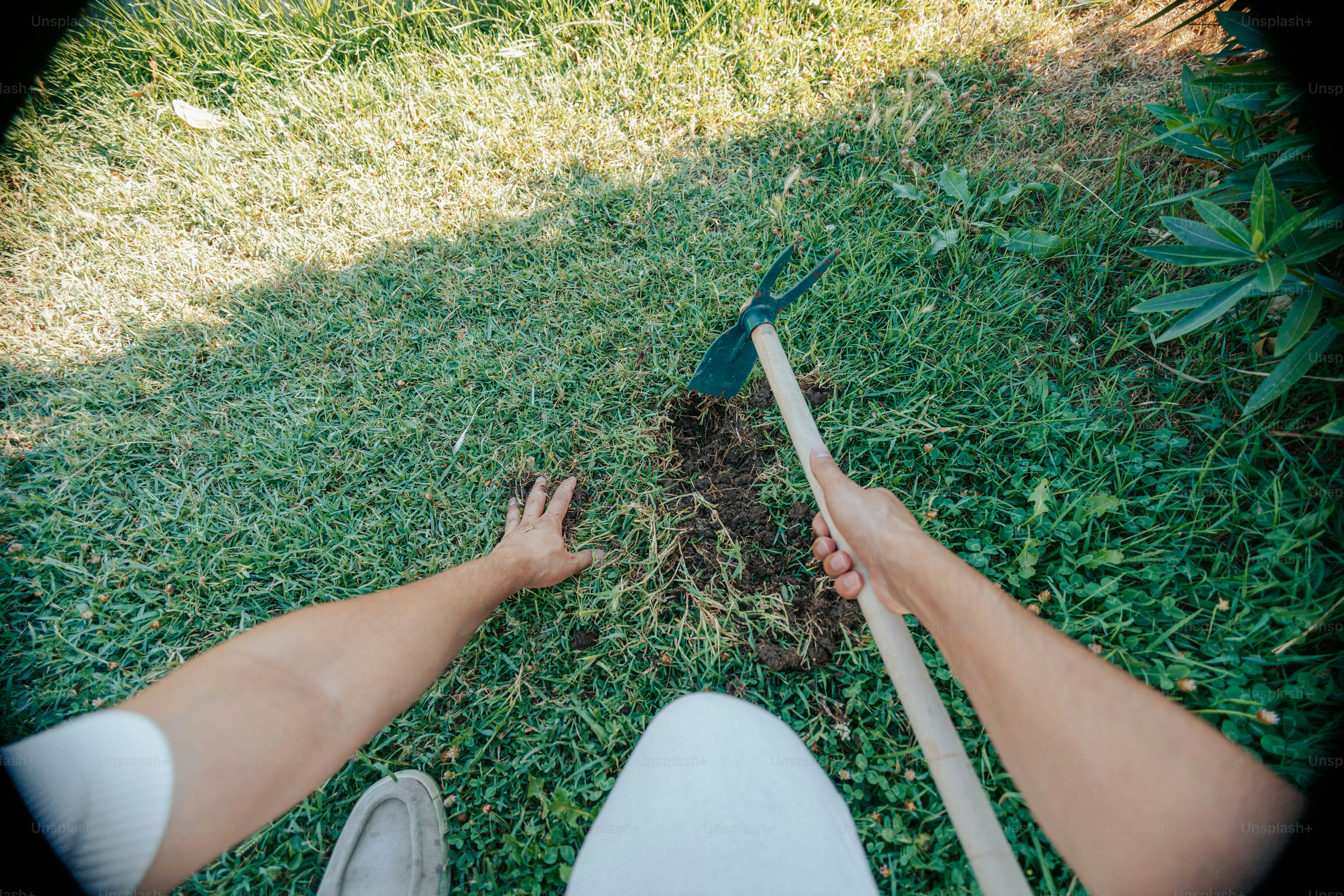 A person hoes a garden with a hand.