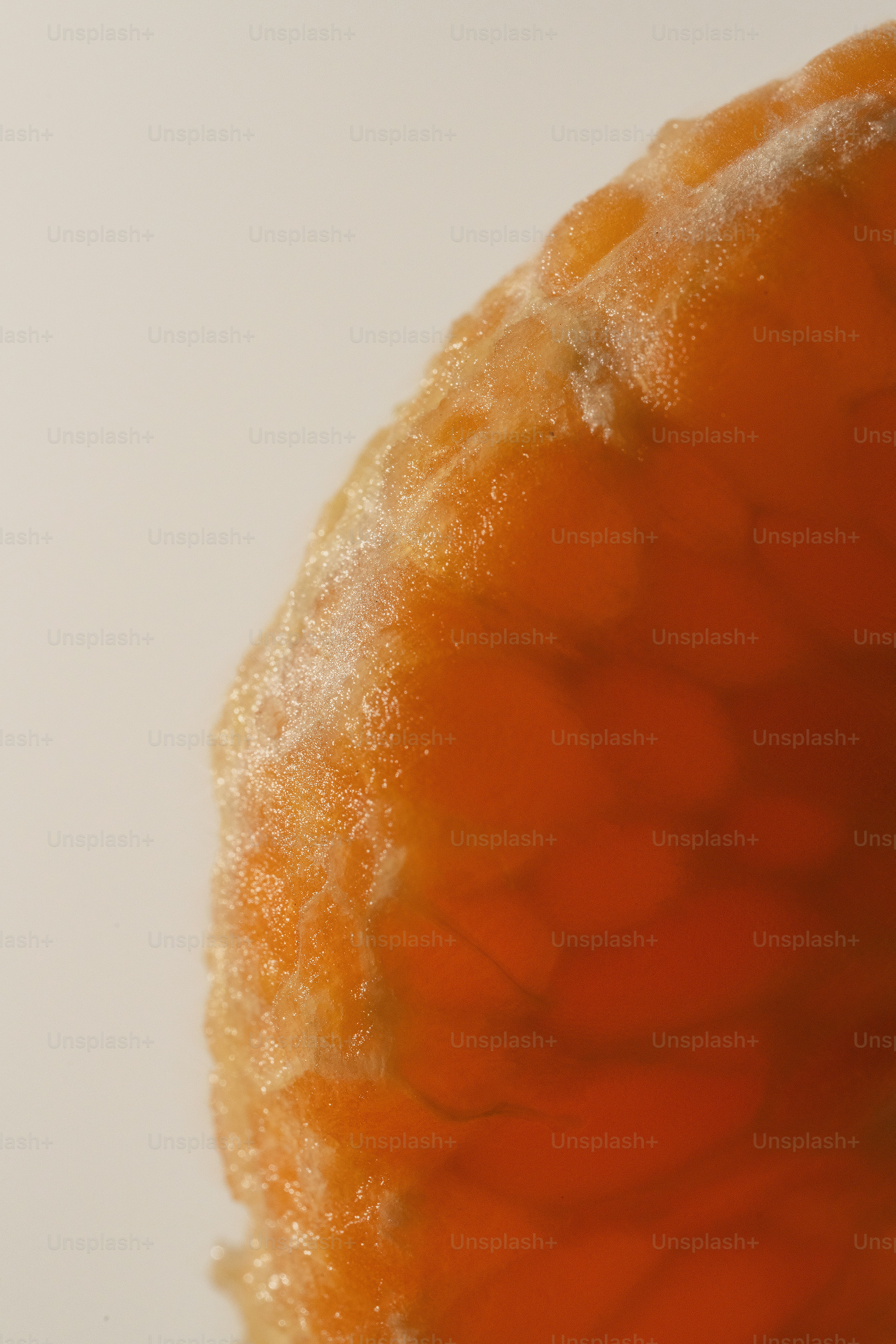 premium_photo-1753364509705-f70be88ae0c7