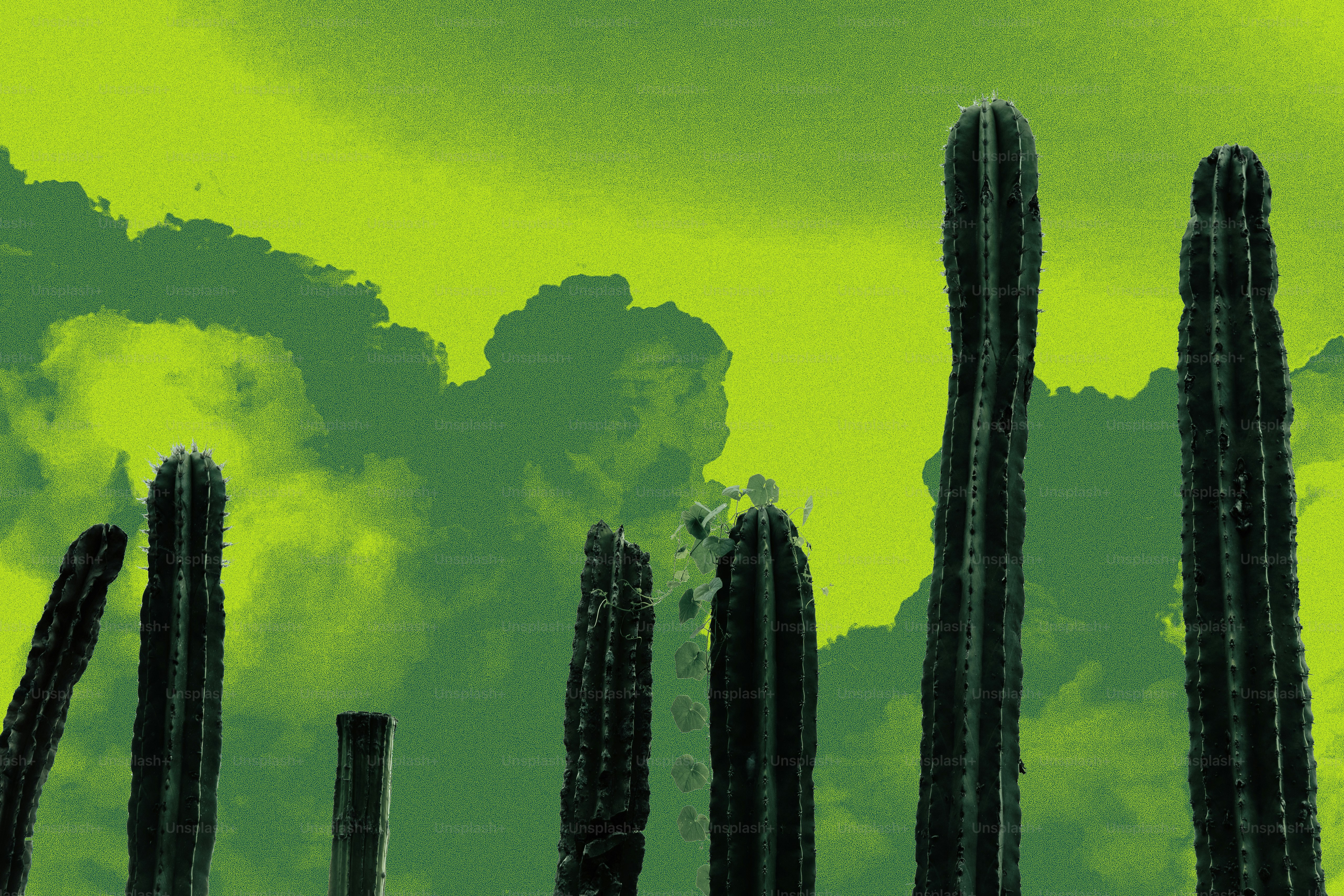 Cacti stand tall under a bright green sky.
