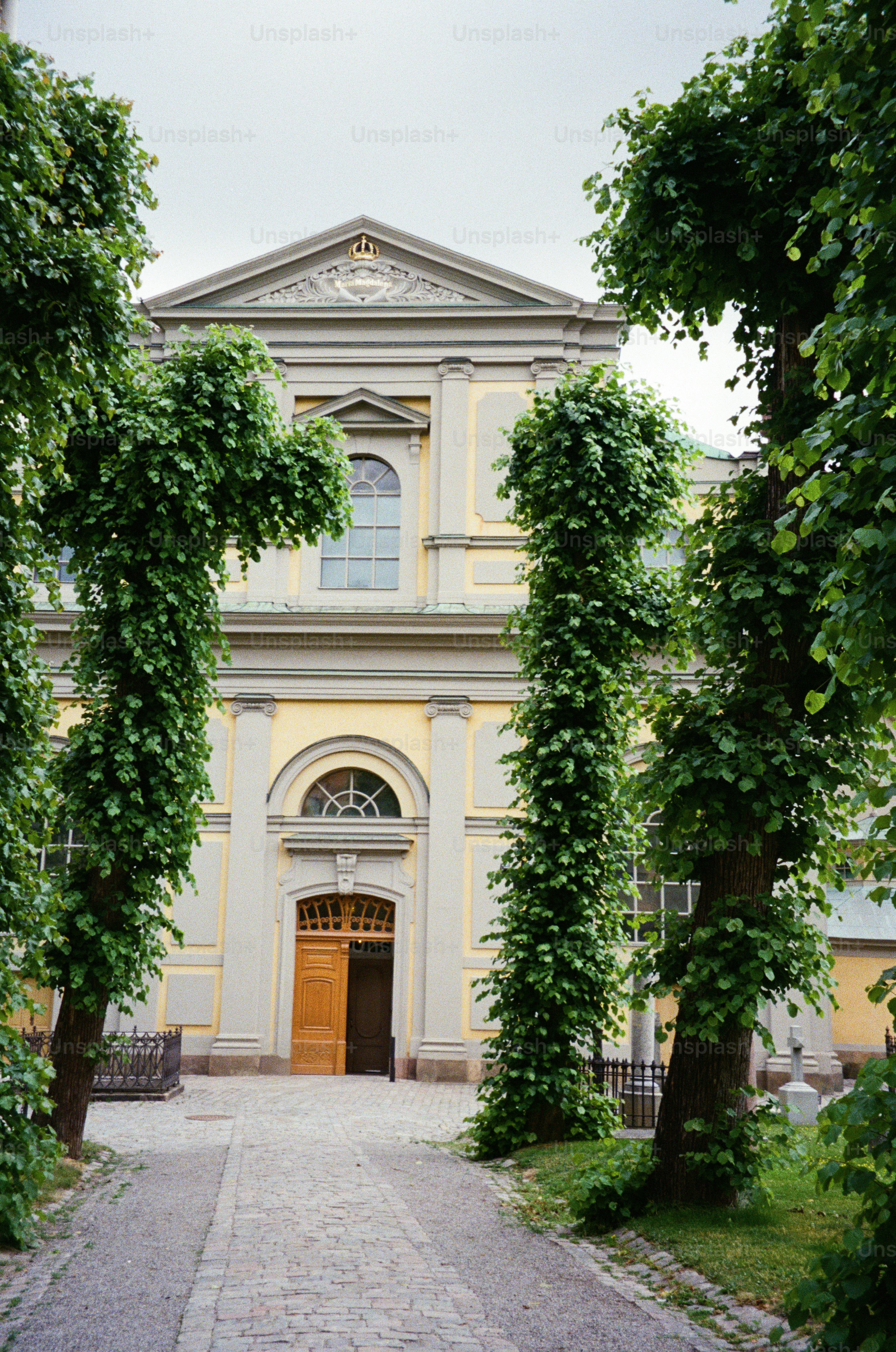 A church is framed by tall, lush trees.