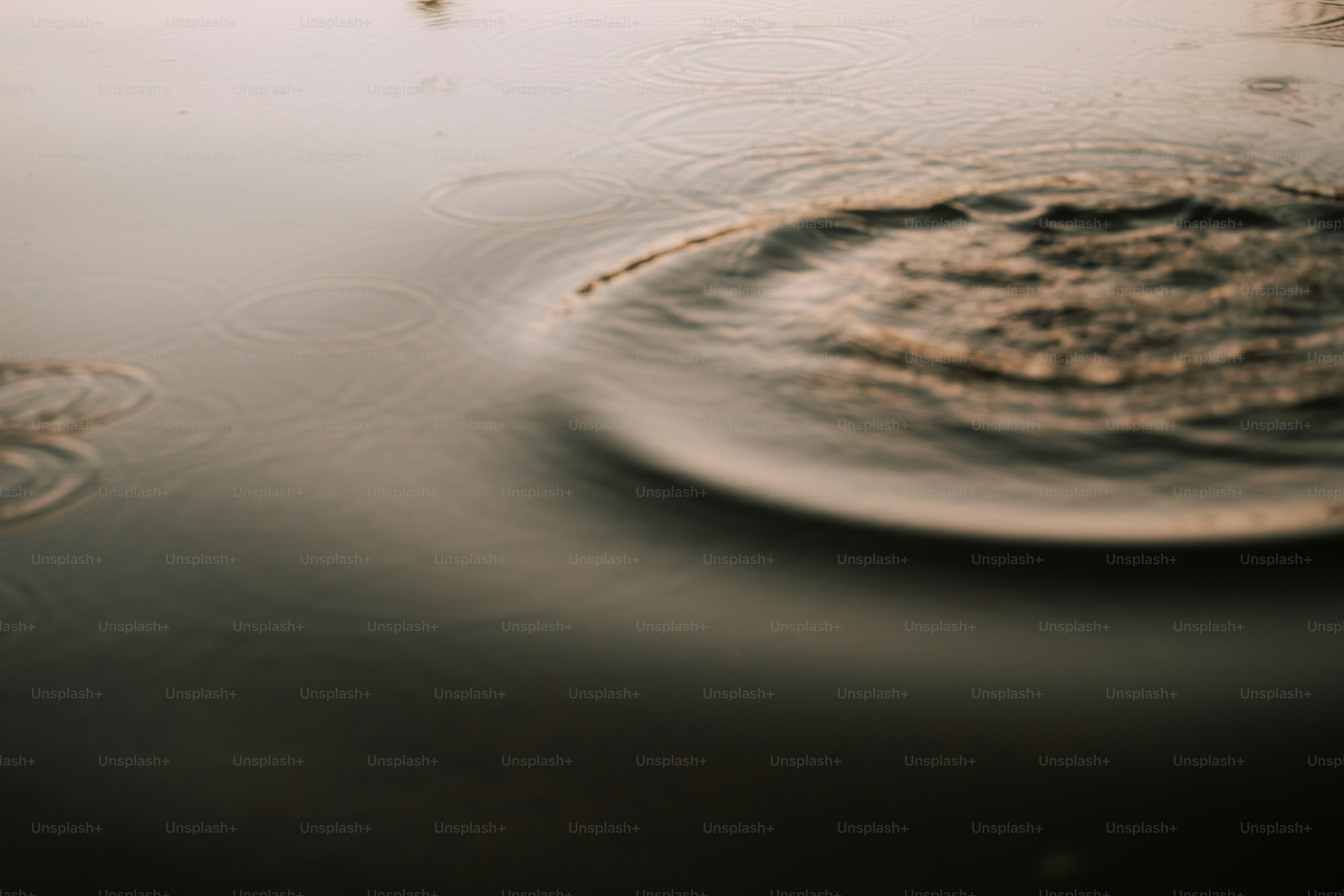 Le increspature si diffondono su una superficie d'acqua scura.