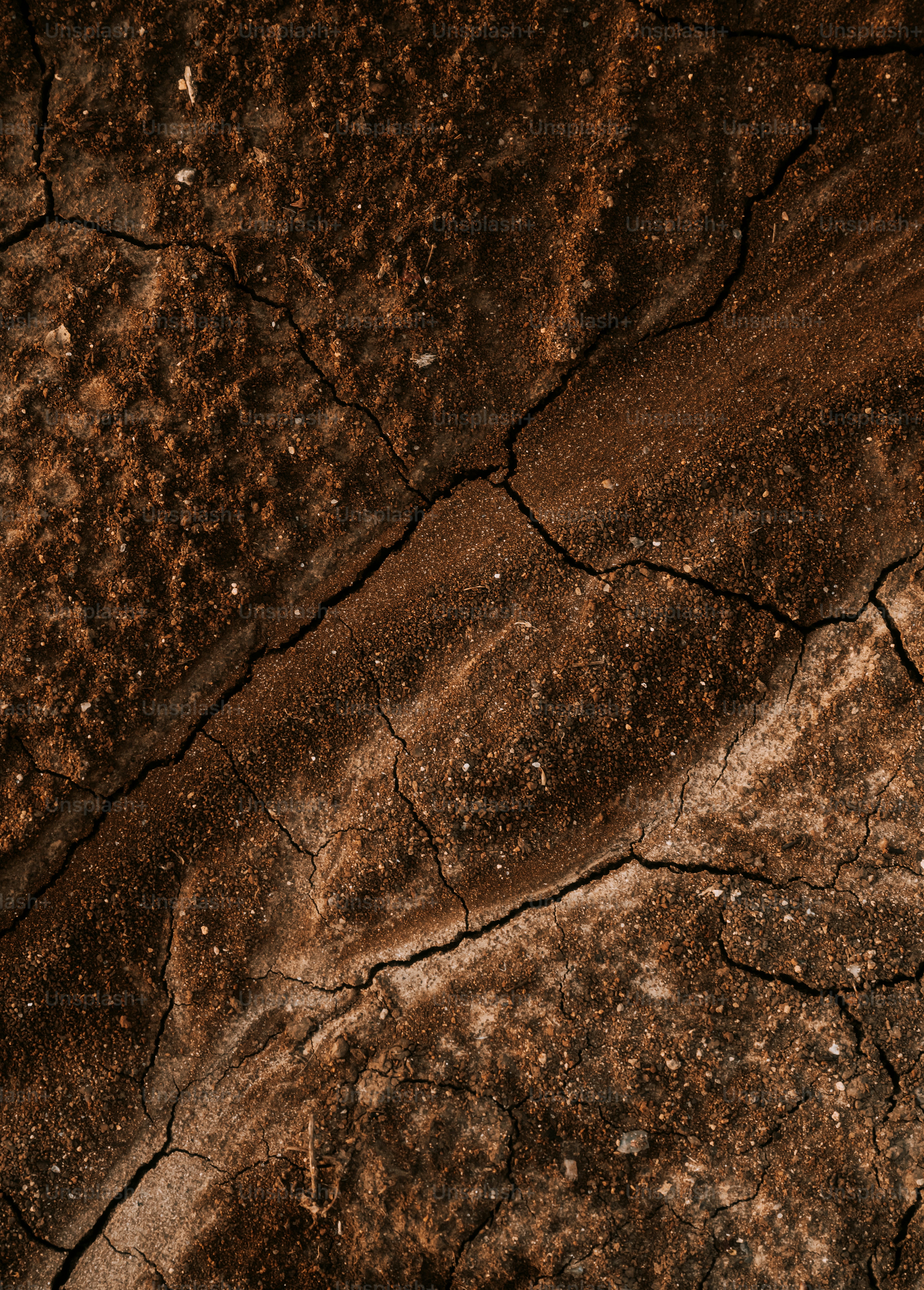 Cracked, dry earth fills the frame