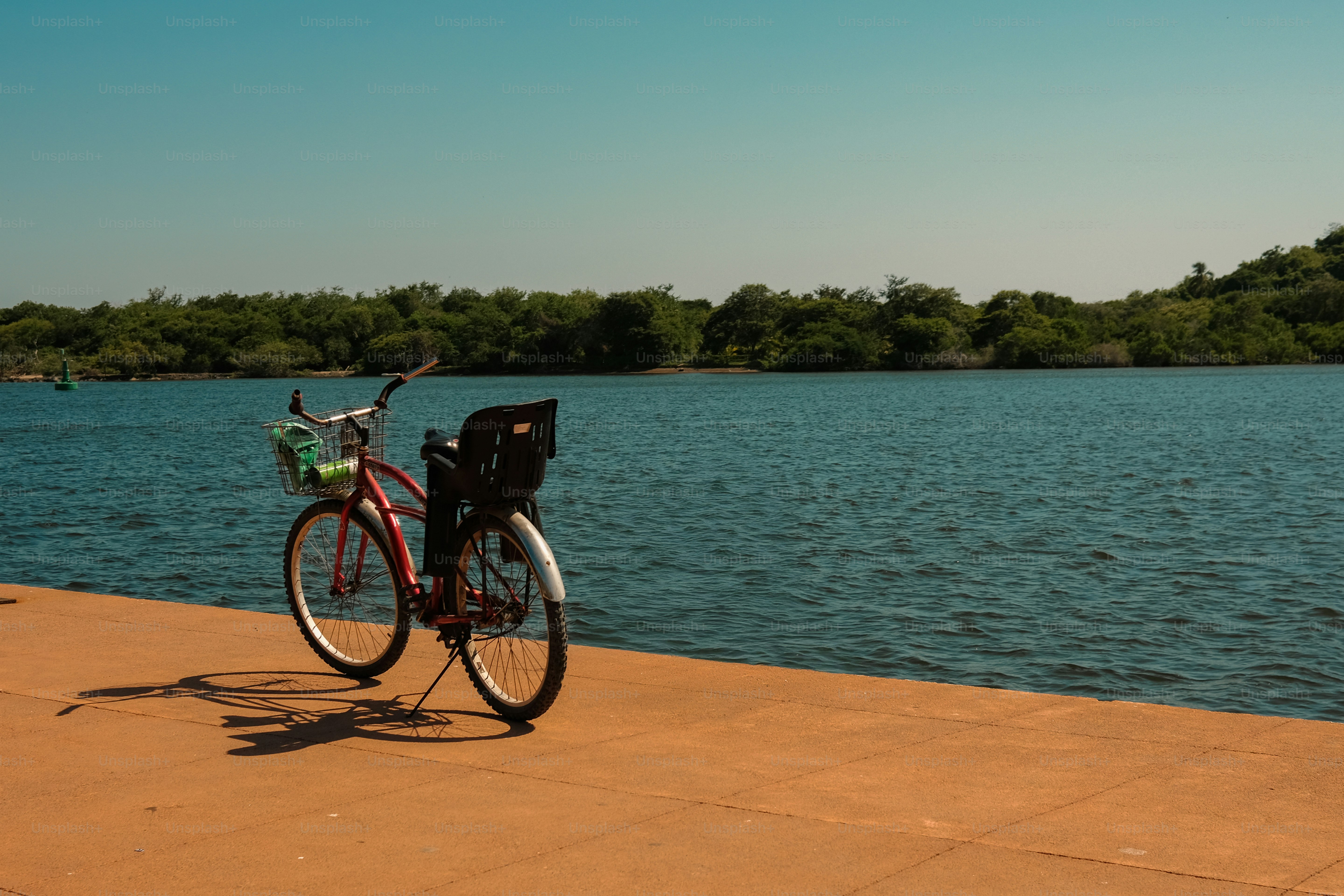 A bicycle rests by the water on a sunny day.