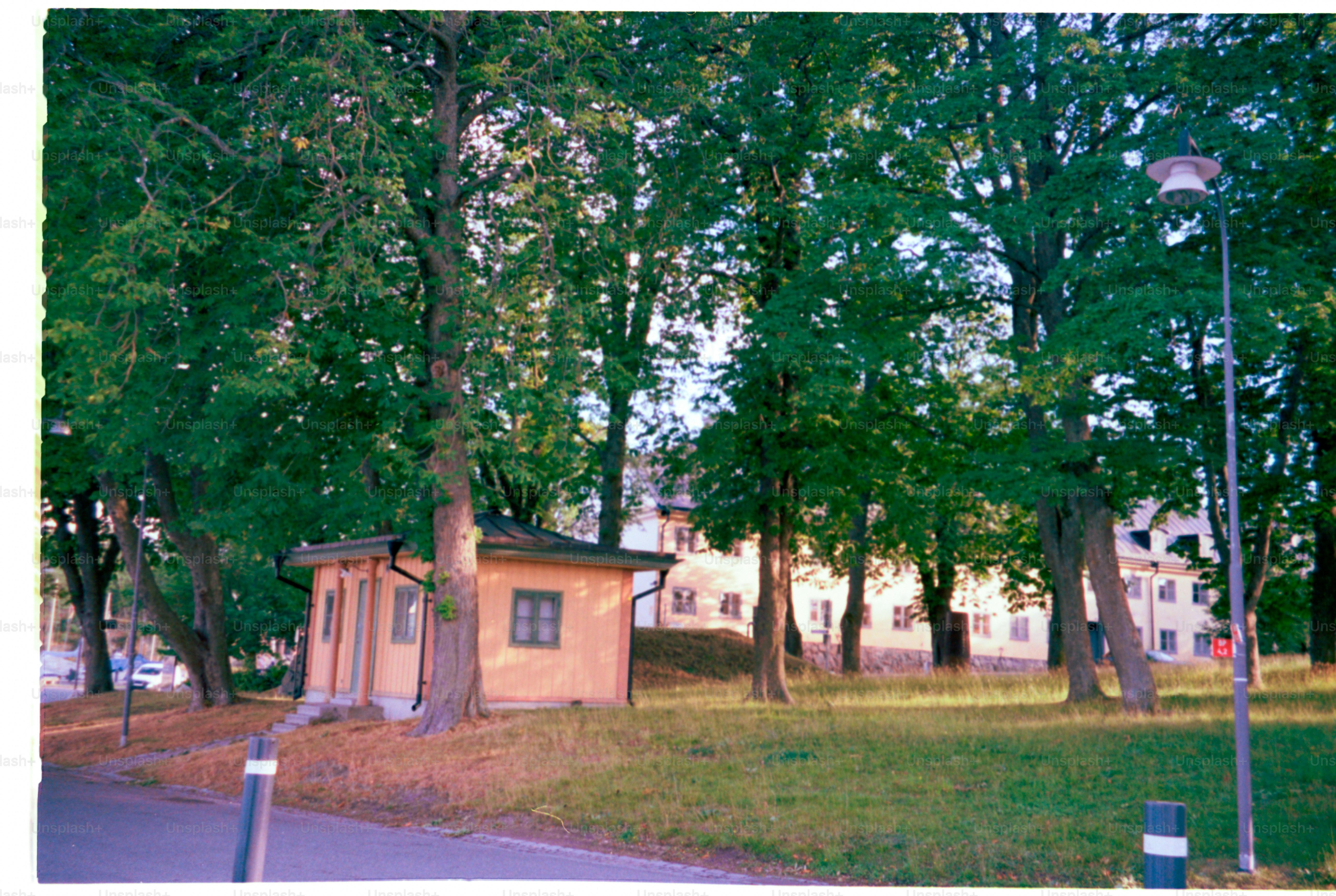 A small yellow building sits amongst green trees