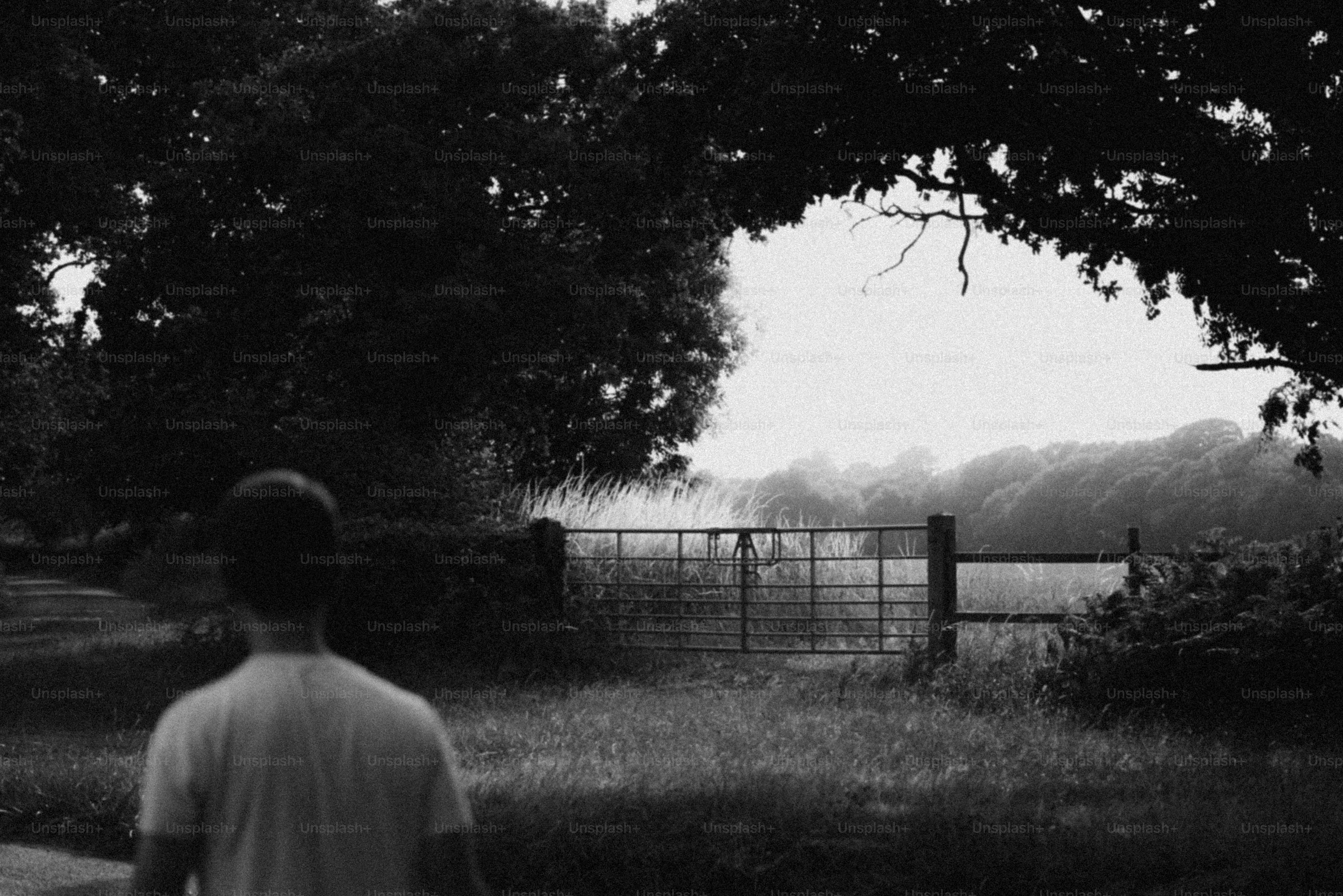 Um homem caminha em direção a um campo aberto. foto – Imagem sobre Plano de  fundo natureza na Unsplash, image size:3000x2001