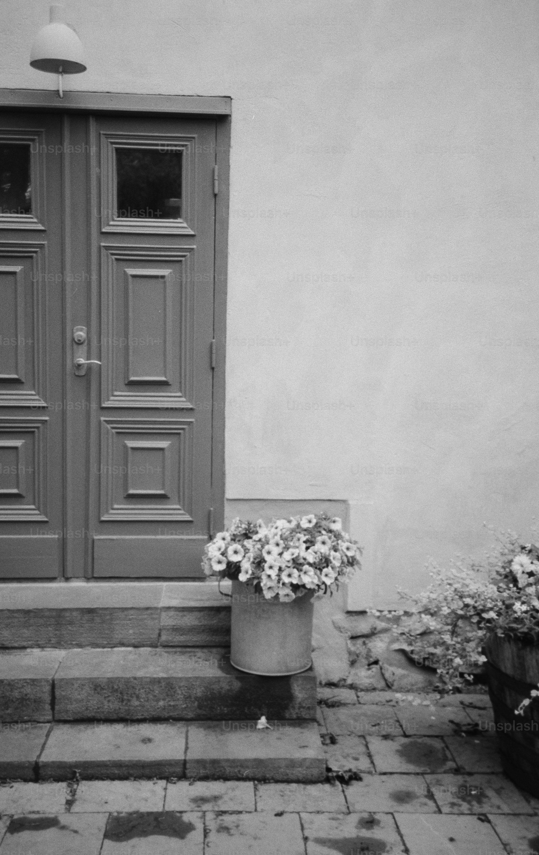 Una porta con dei fiori accanto.