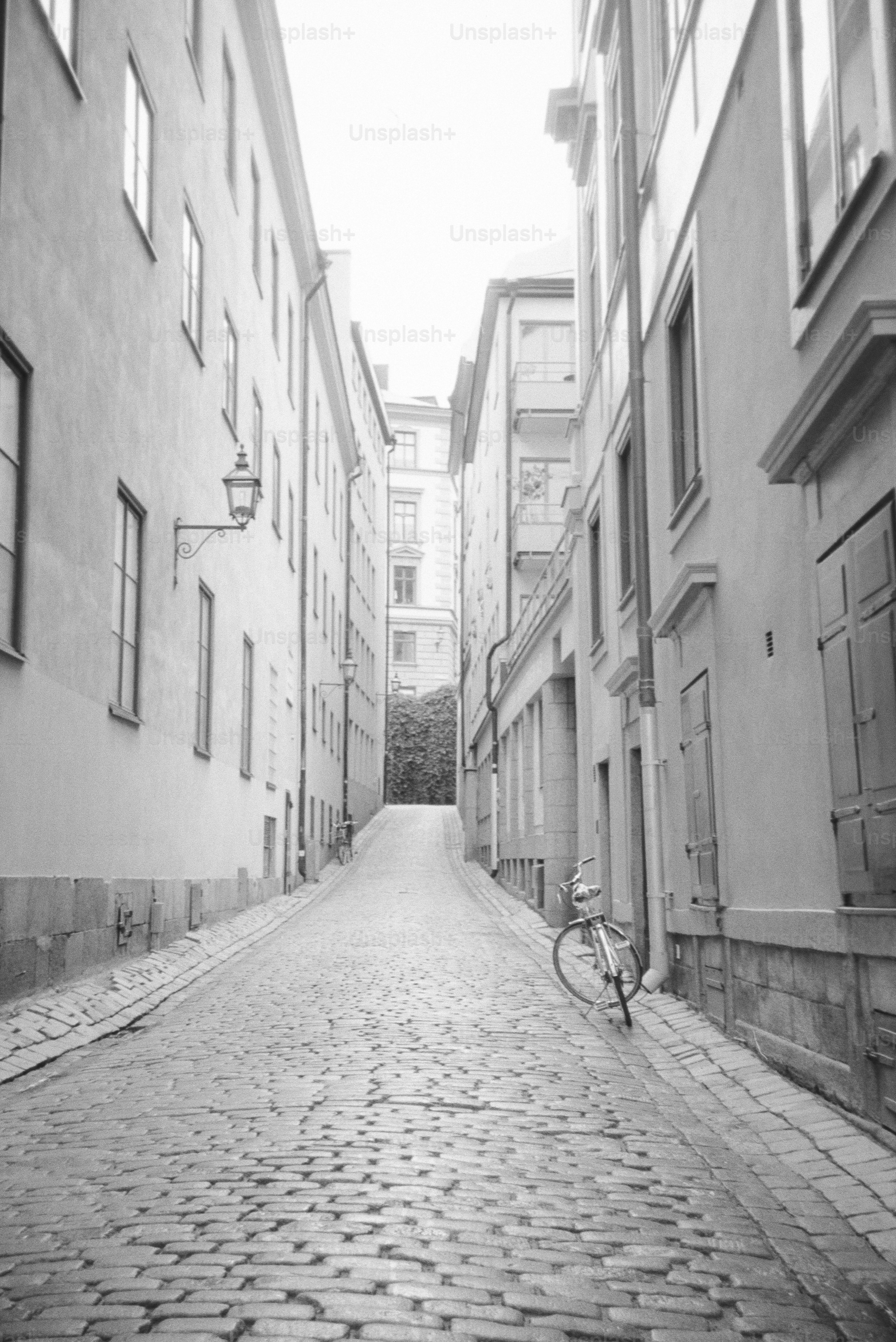 Stretta strada acciottolata fiancheggiata da edifici.