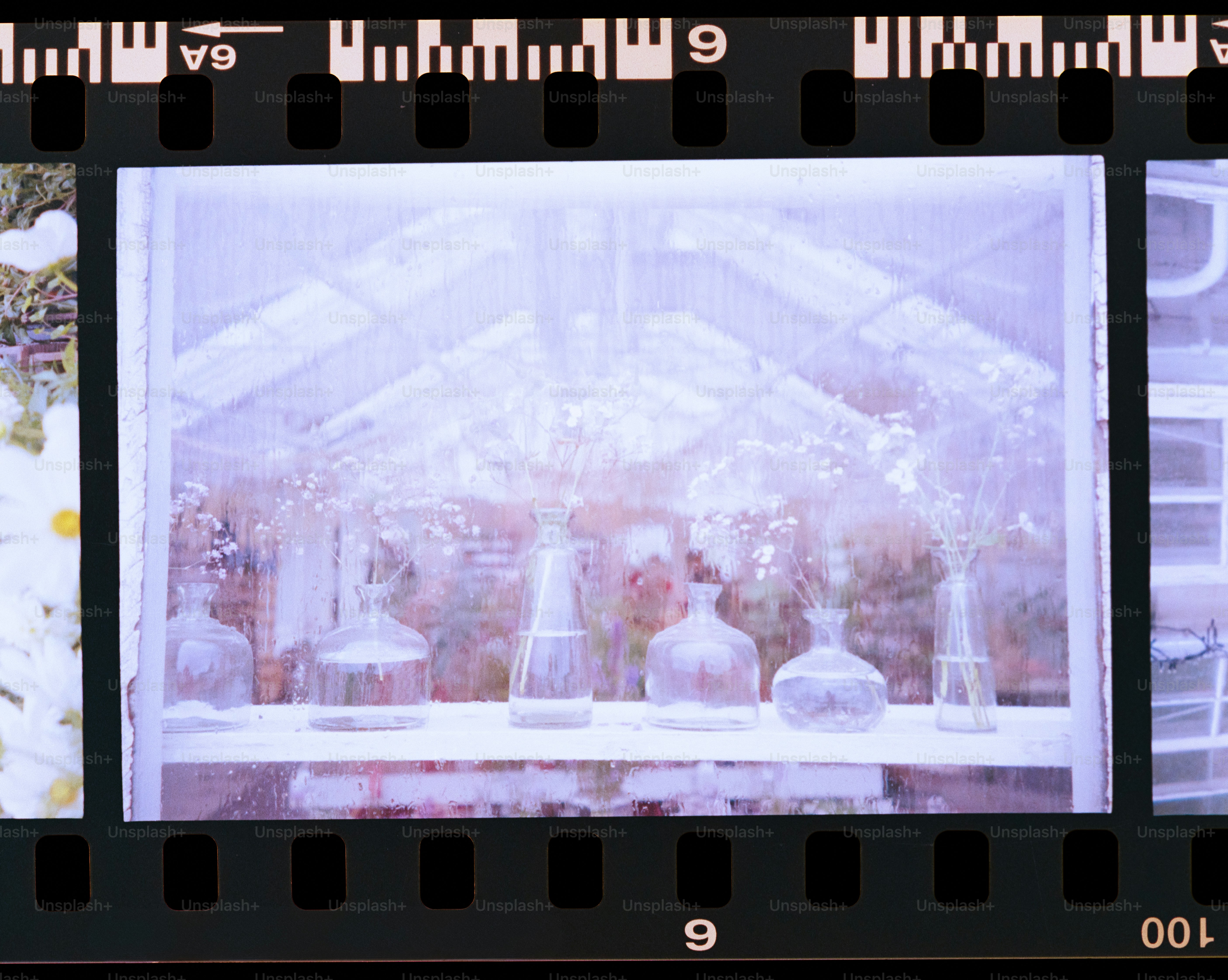 Flowers fill the film strips with vibrant colors. photo – Flower Image ...