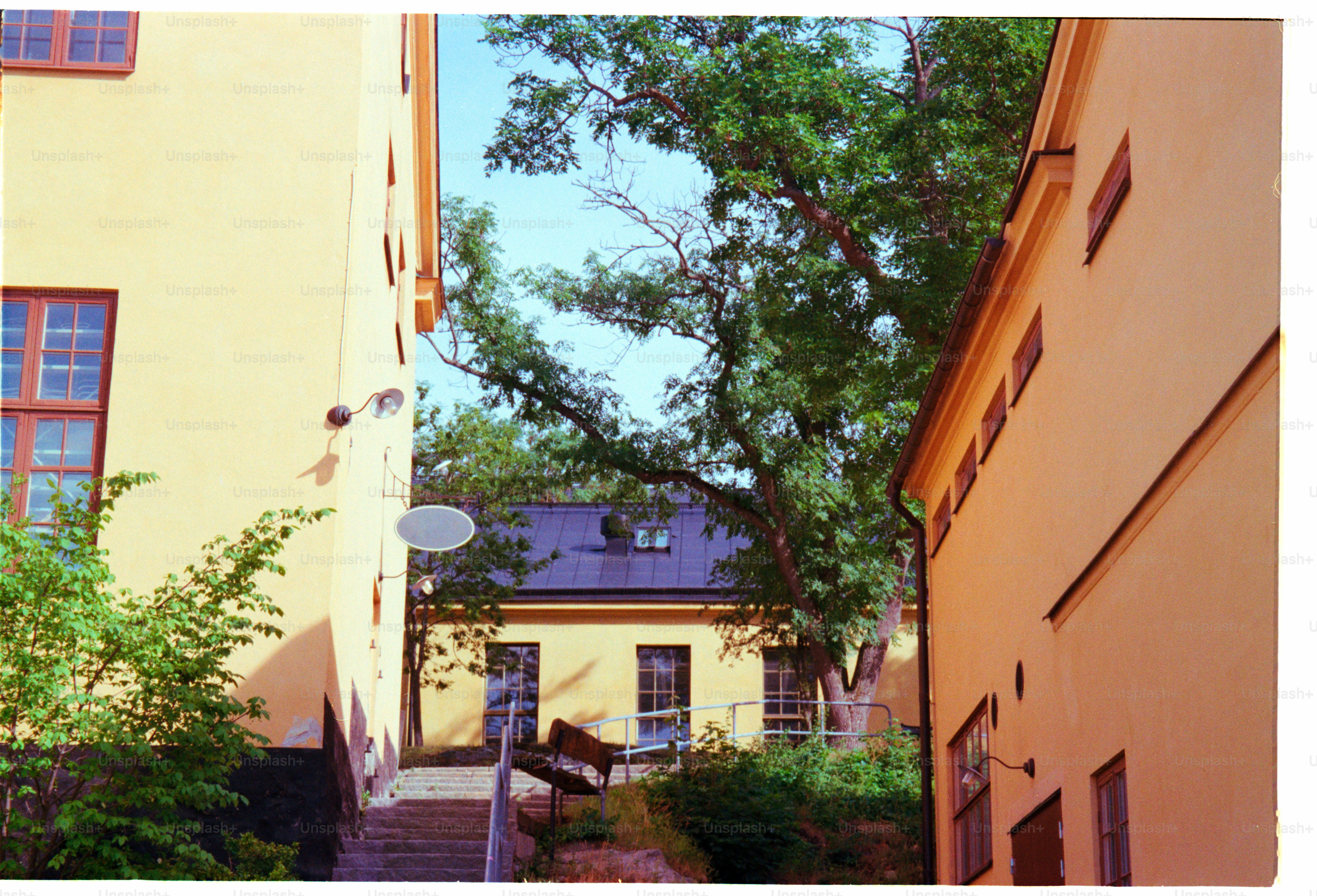 premium_photo-1753795570647-d9792c35ddef?ixid=M3wxMjA3fDB8MXxzZWFyY2h8OXx8c3RhbW10aXNjaCUyMHVtJTIwYXNjaGFmZmVuYnVyZ3xlbnwwfHx8fDE3NTYzODc5OTZ8MA\u0026ixlib=rb-4.1.0