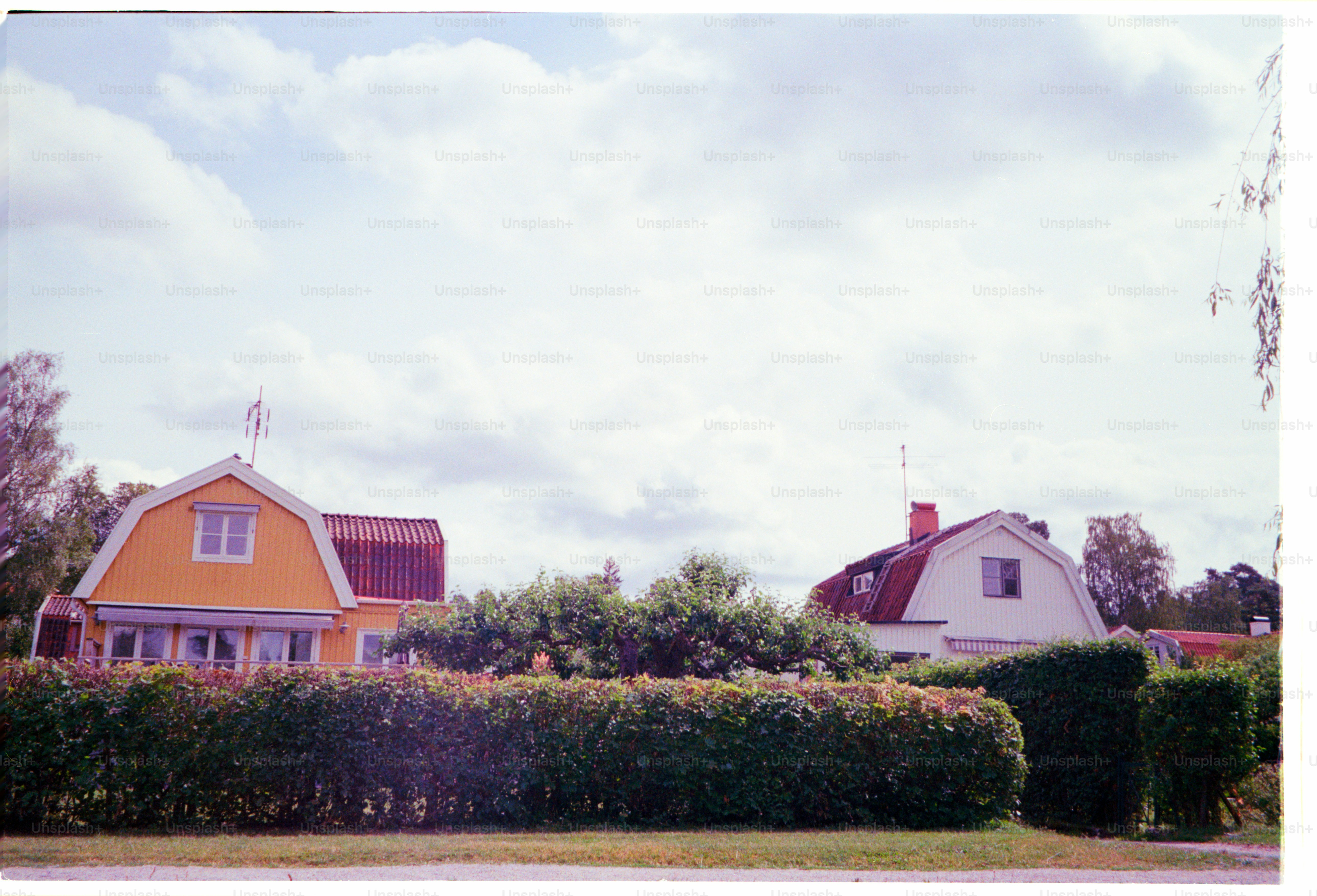 Two houses are seen behind a green hedge.