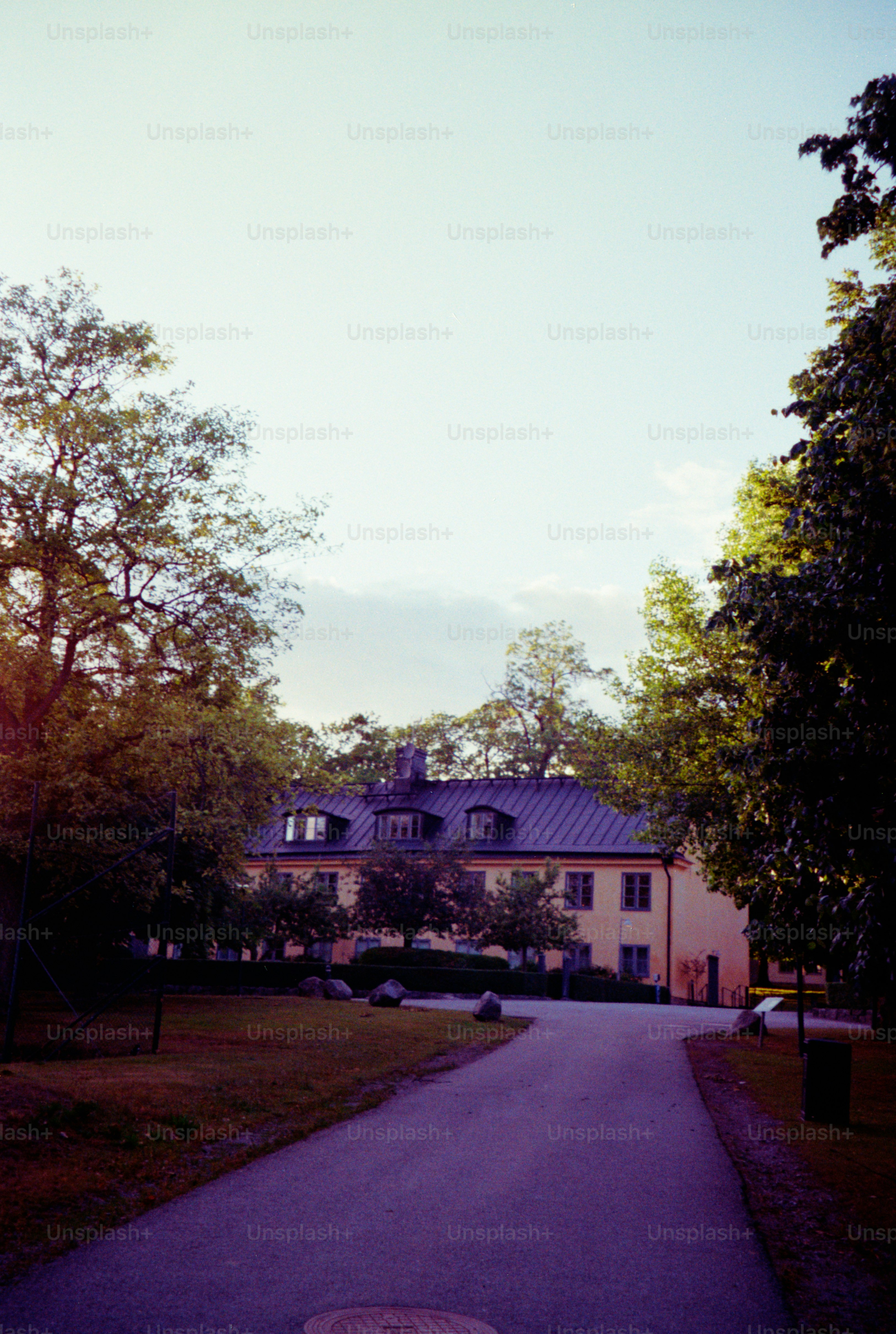 A house sits on a path surrounded by trees.