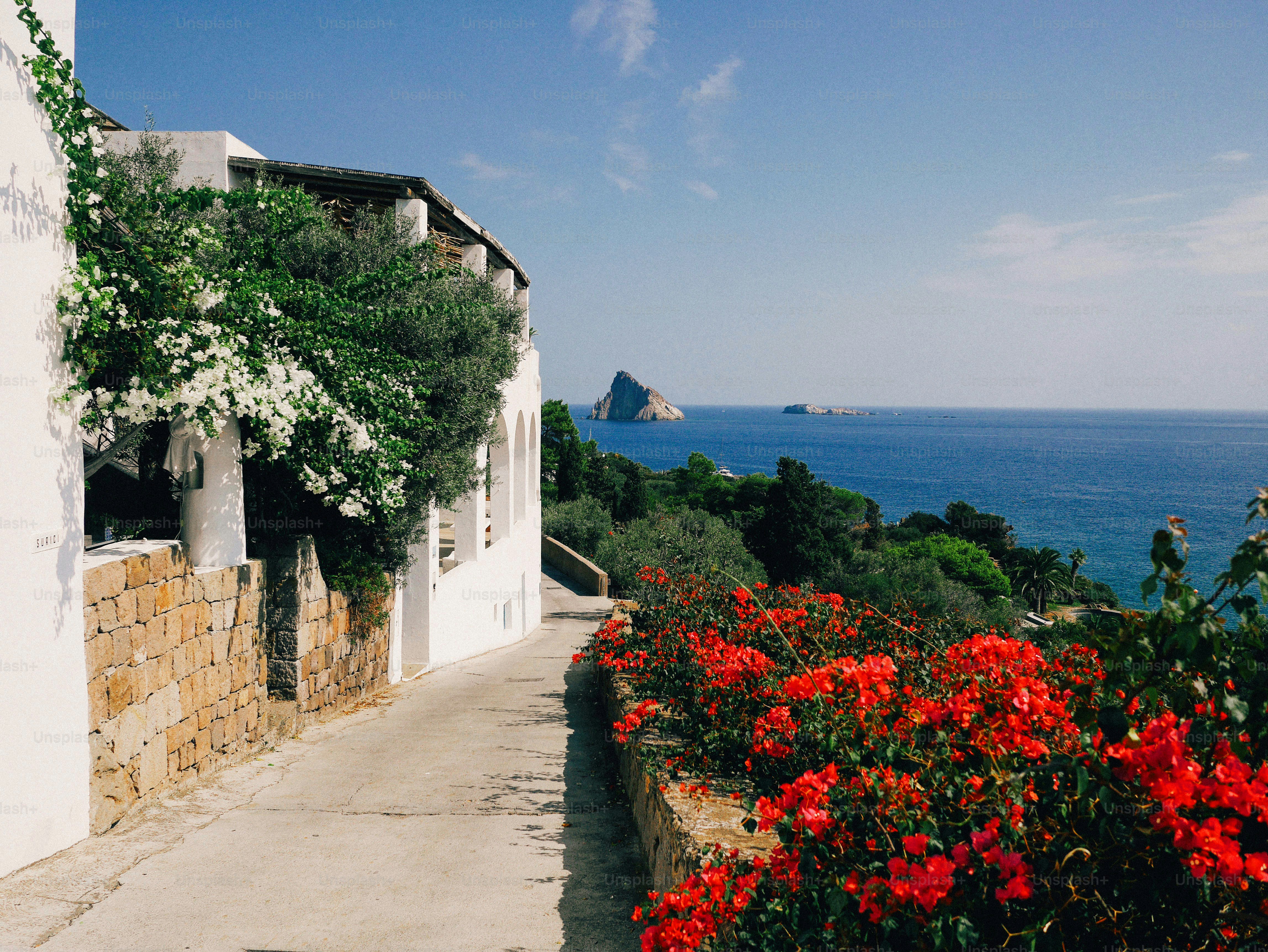 A path leads towards the ocean.