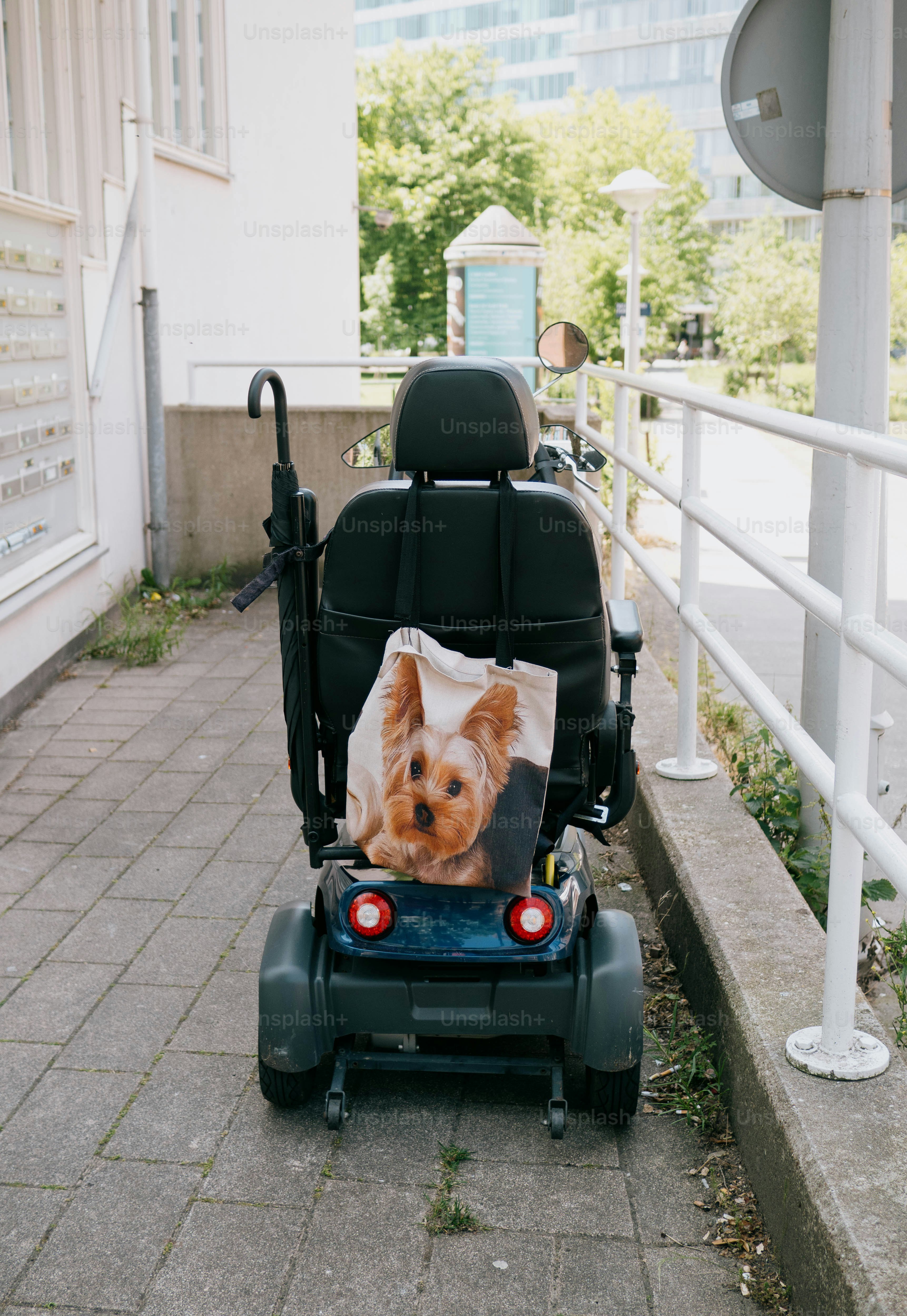 Uno scooter per disabili con una borsa yorkie