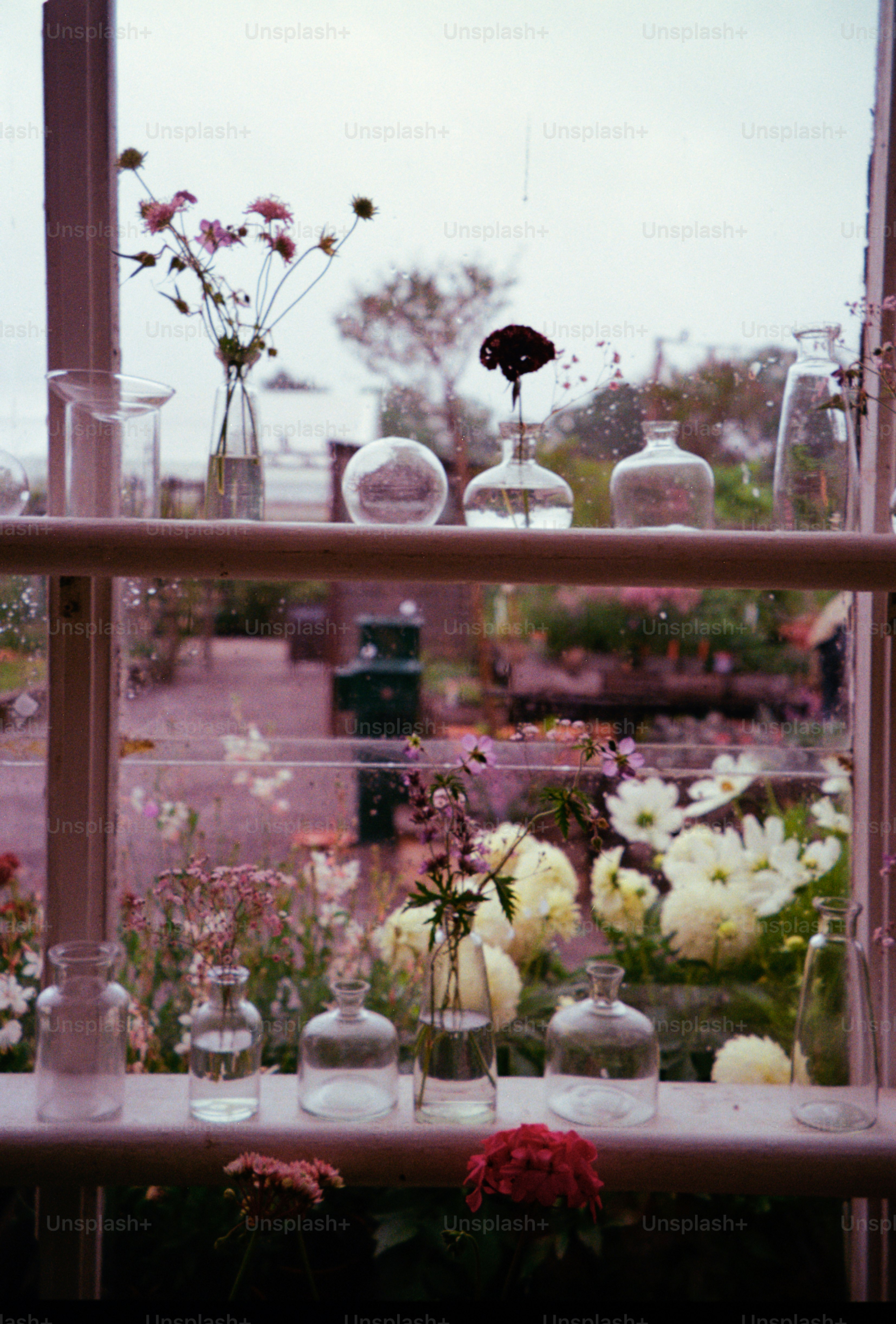 Blumen und Vasen sind auf einem Fensterbrett arrangiert.
